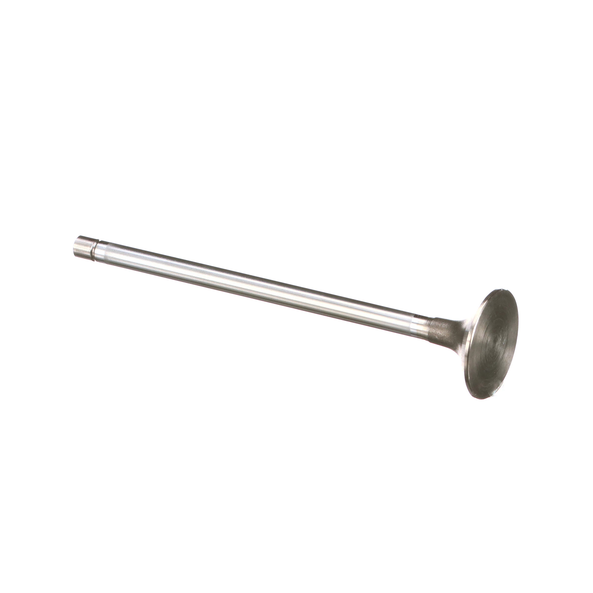 Standard Exhaust Valve | CASECE | BR | PT