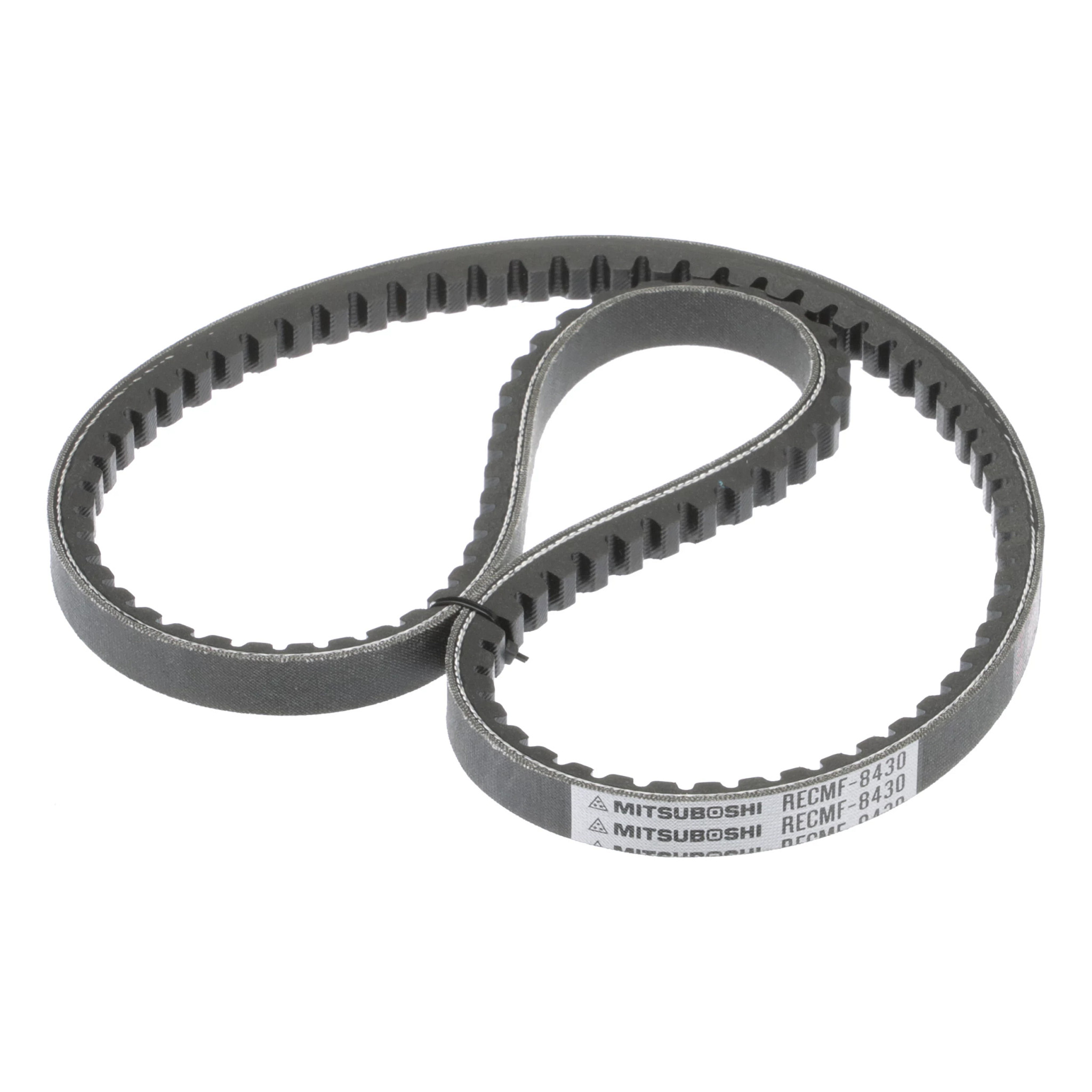 BELT | CASECE | AMEA | EN