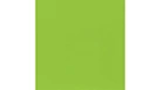 Green Enamel Paint - 12 Oz/340 G Spray Can | CASECE | US | EN