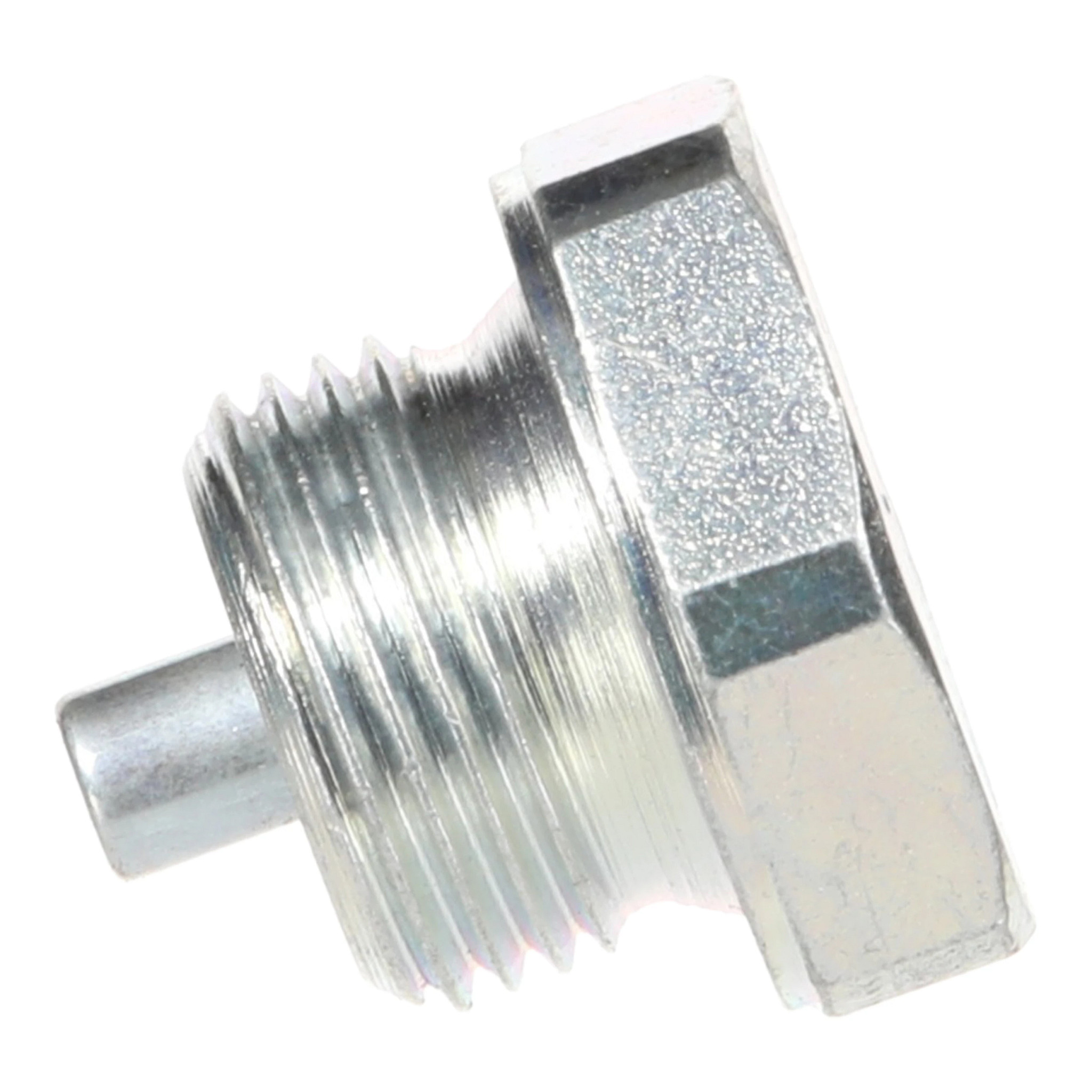PLUG | CASECE | CA | EN