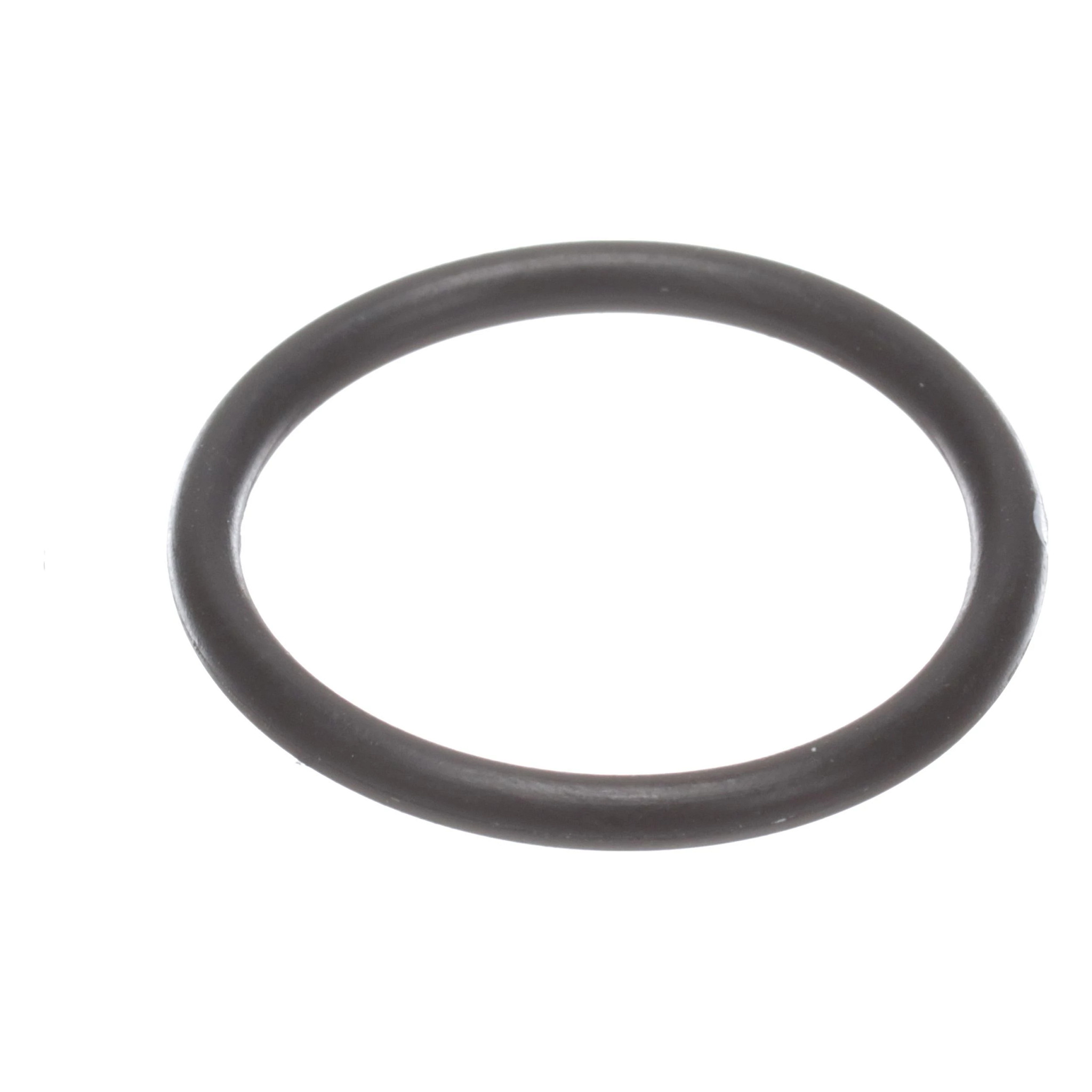 JUNTA TÓRICA | CASECE | EU | IT