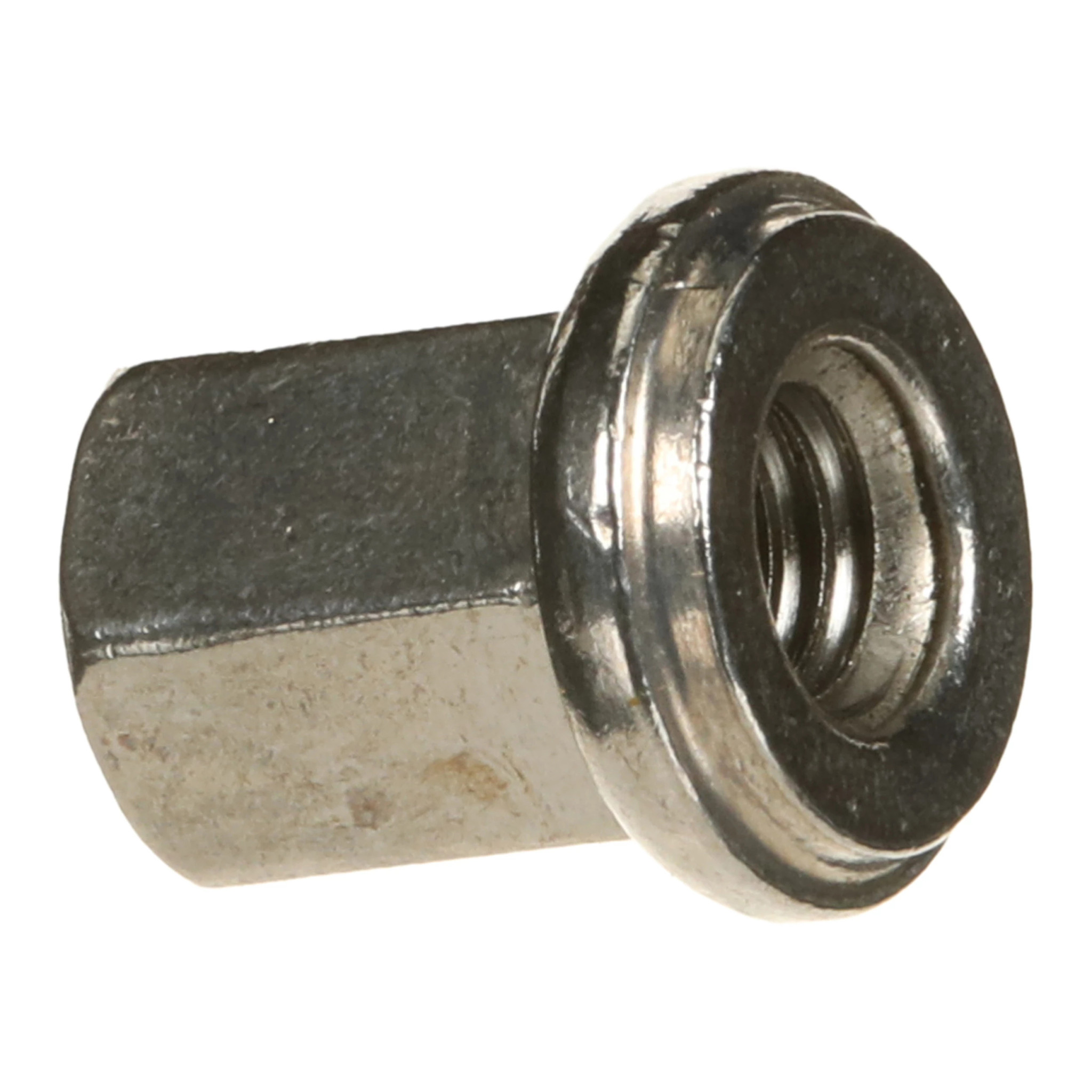 NUT | CASECE | US | EN