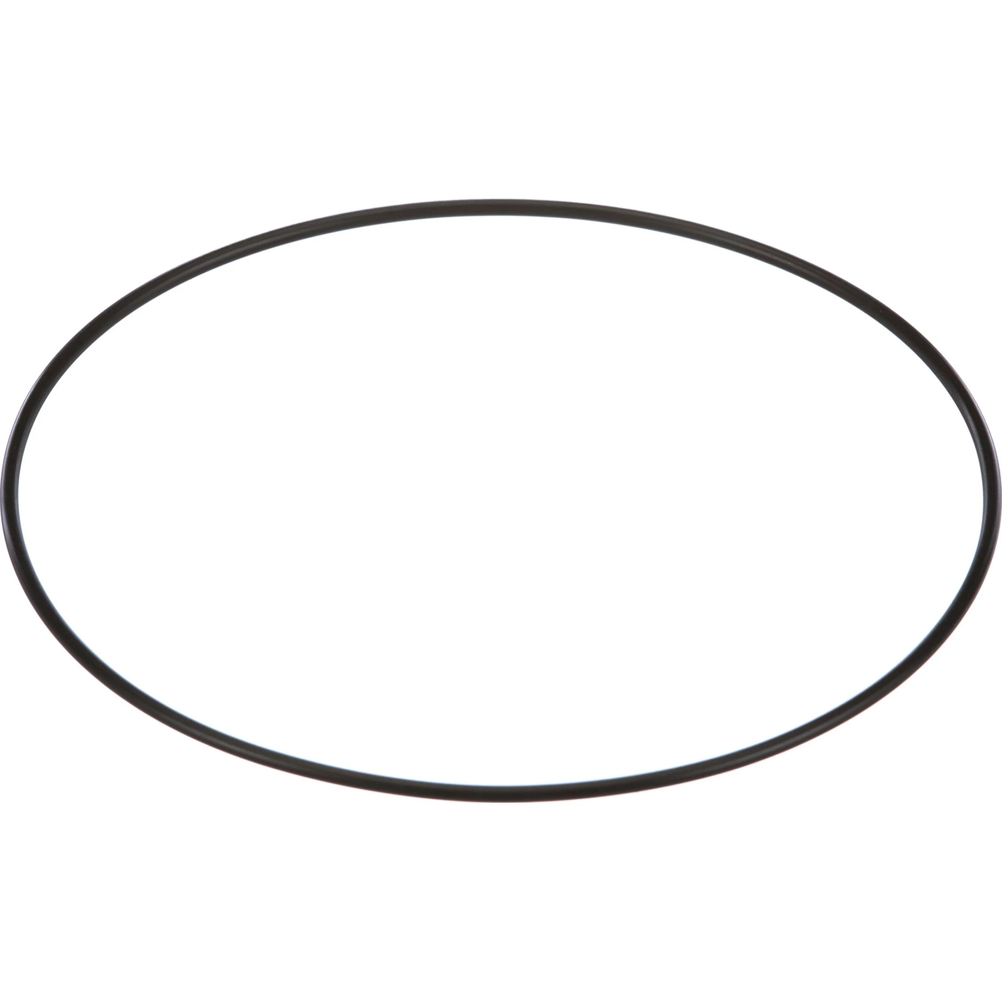 JOINT TORIQUE | CASEIH | CA | EN