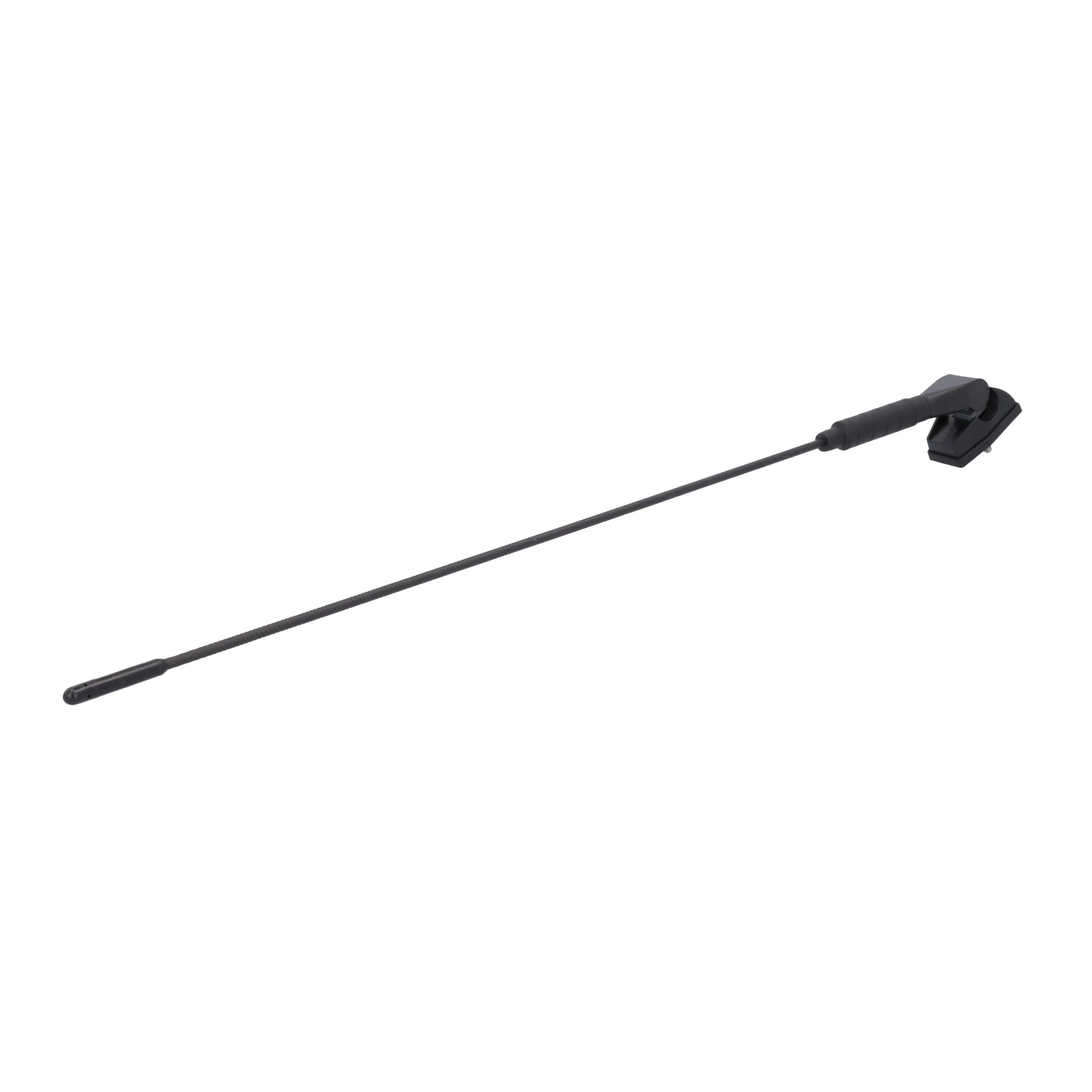 ANTENNA | CASECE | US | EN