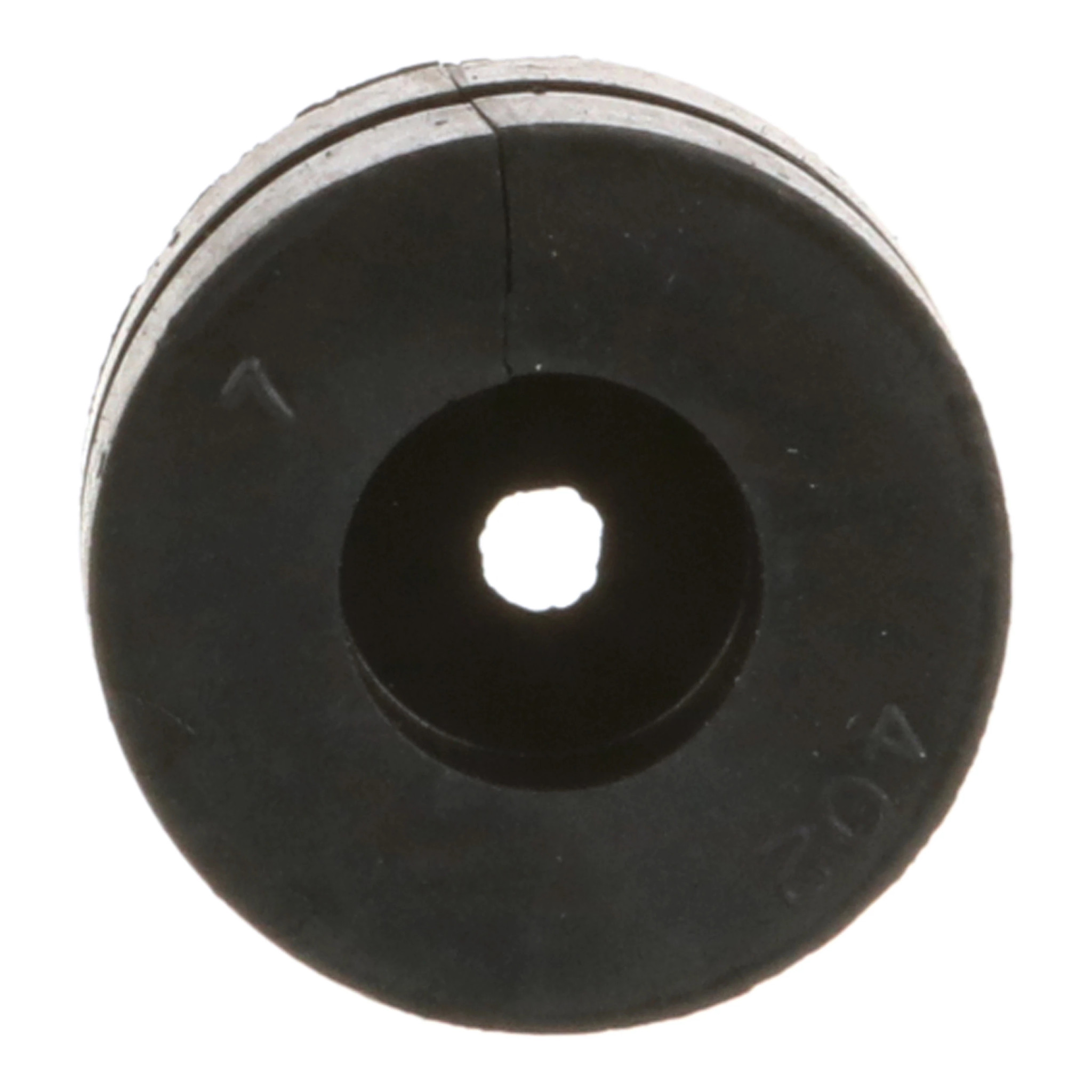 ANEL | CASECE | EU | PT