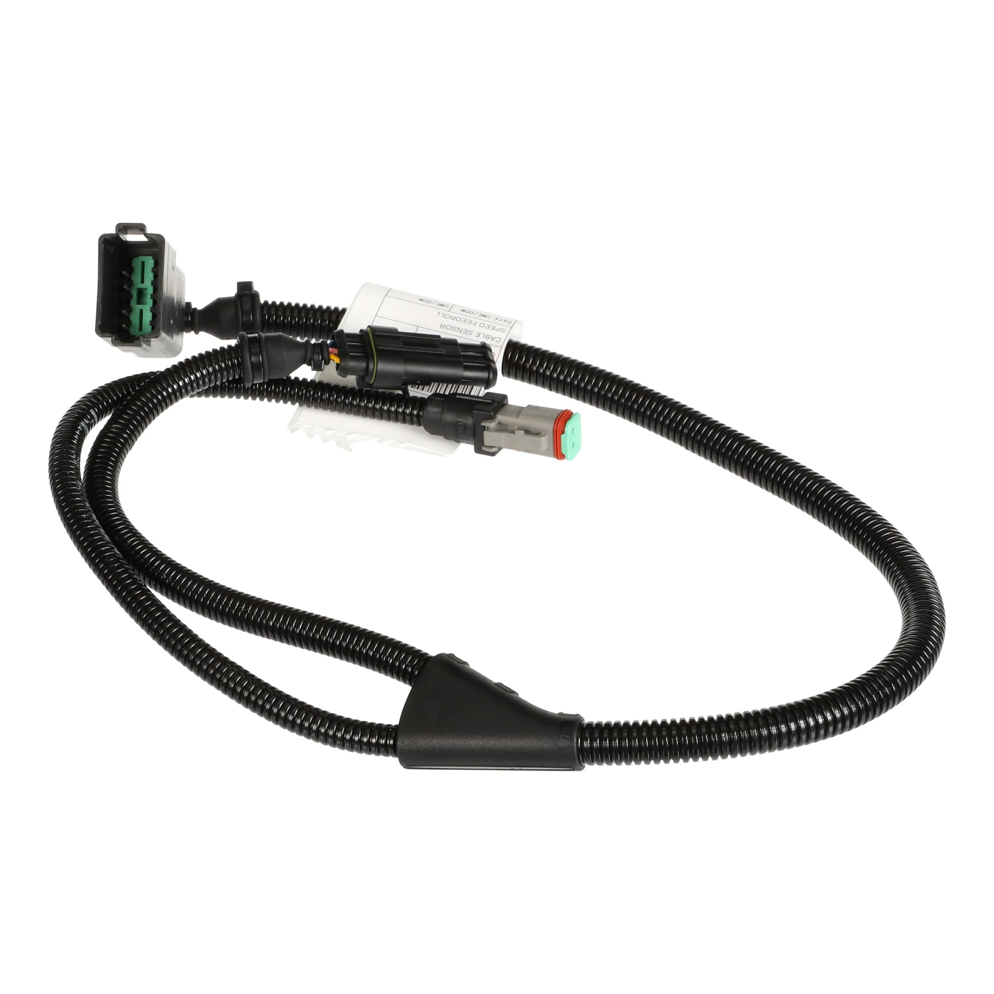 CABLAGGIO | CASECE | EU | PL