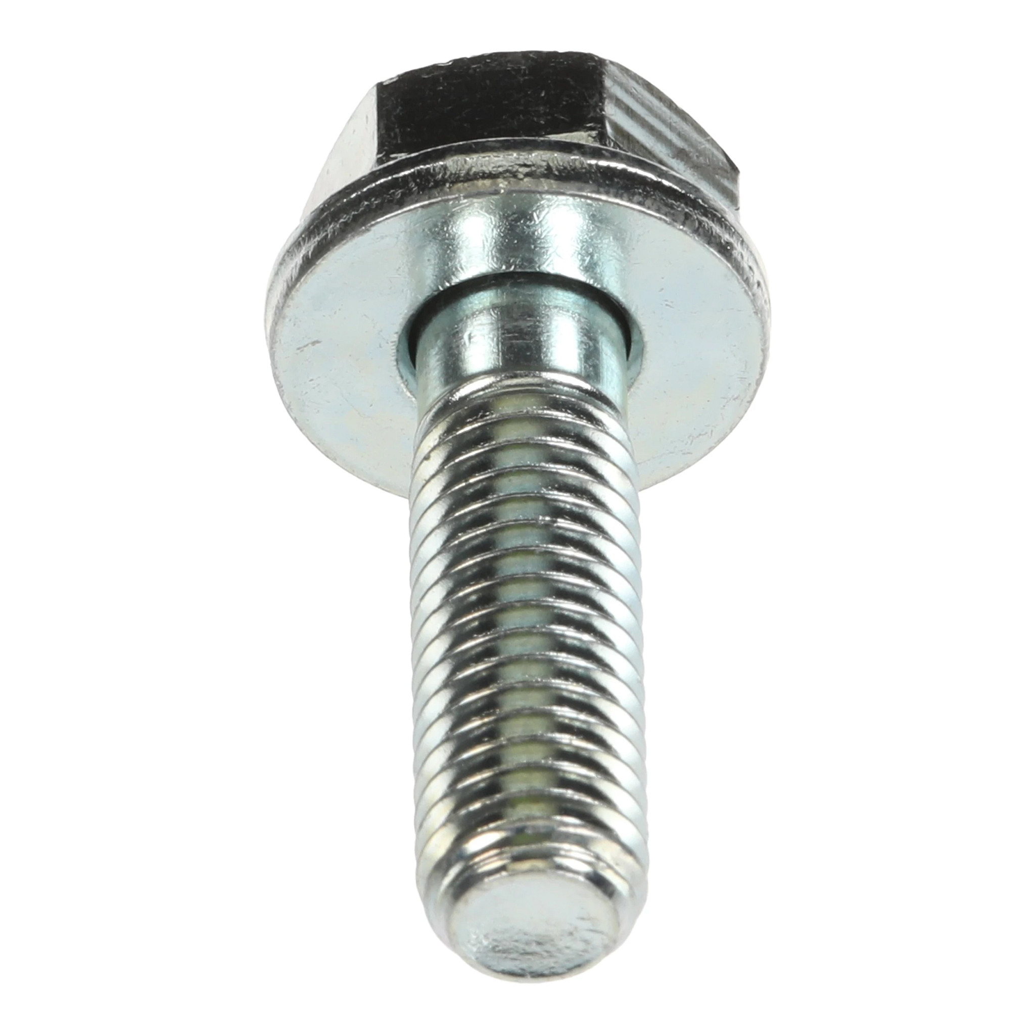 BOLT | CASECE | CA | EN