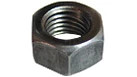Nut | CASECE | CA | FR