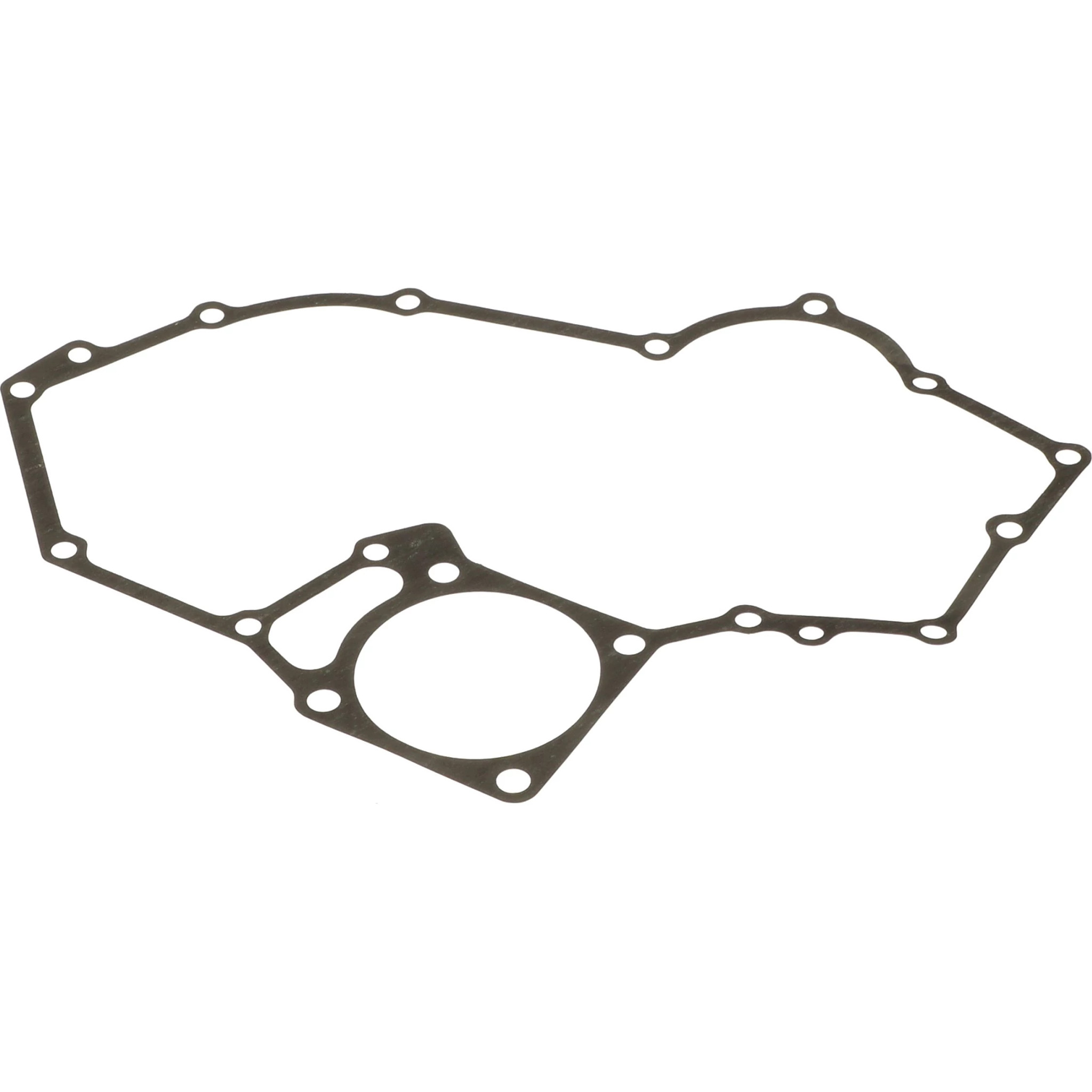 ПРОКЛАДКА | CASEIH | AMEA | RU