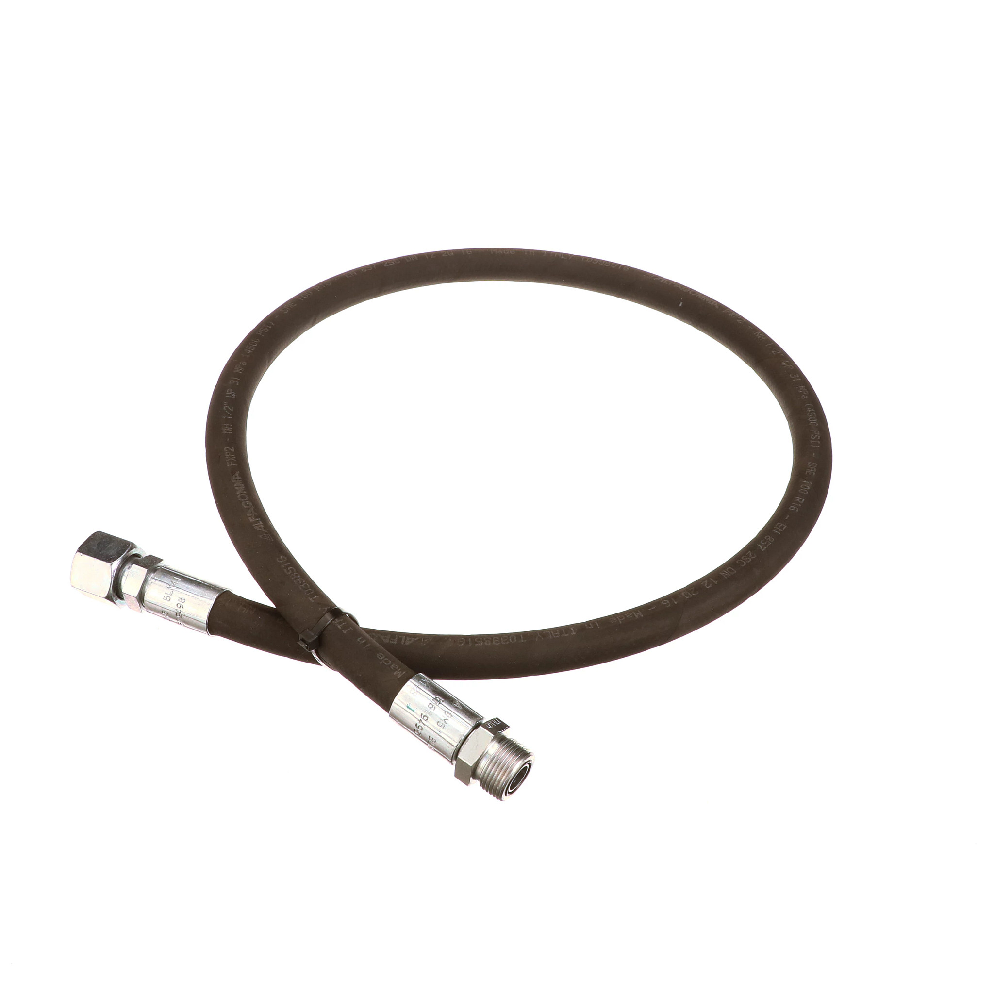 Mangueira | CASECE | BR | PT