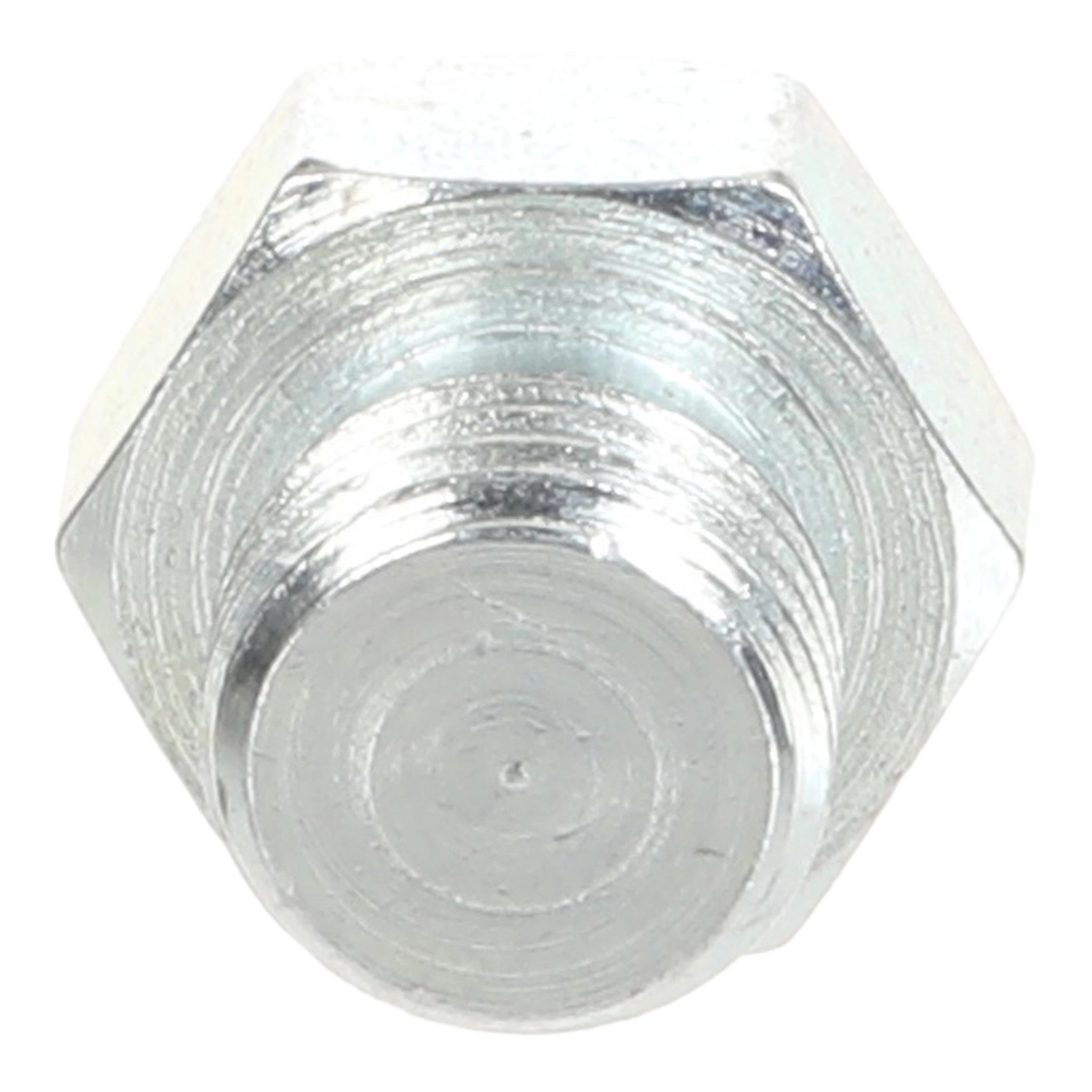 PLUG | CASECE | US | EN