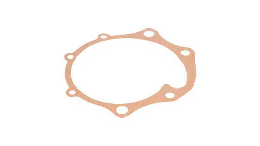 GASKET | STEYR | EU | DE
