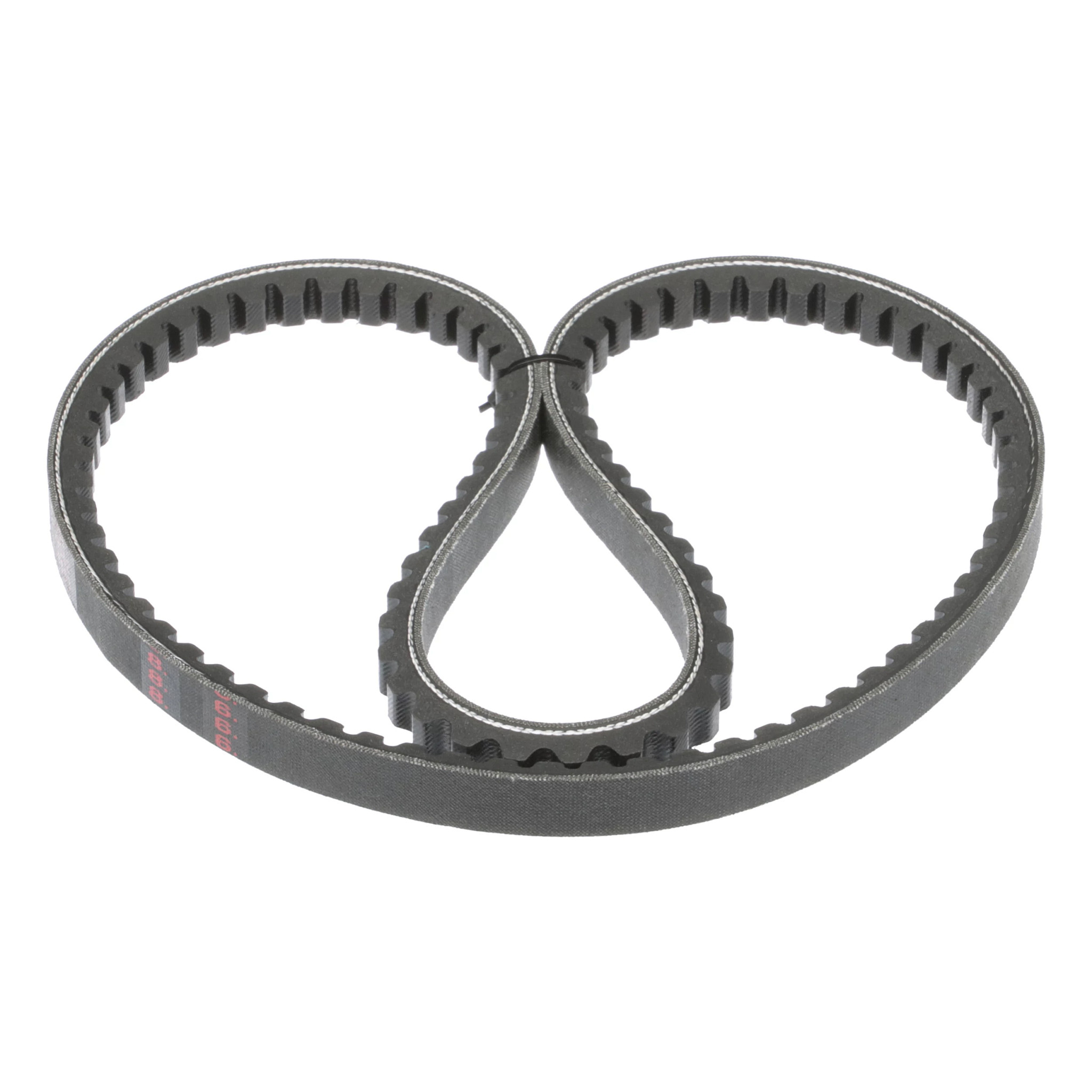 BELT | CASECE | AMEA | EN