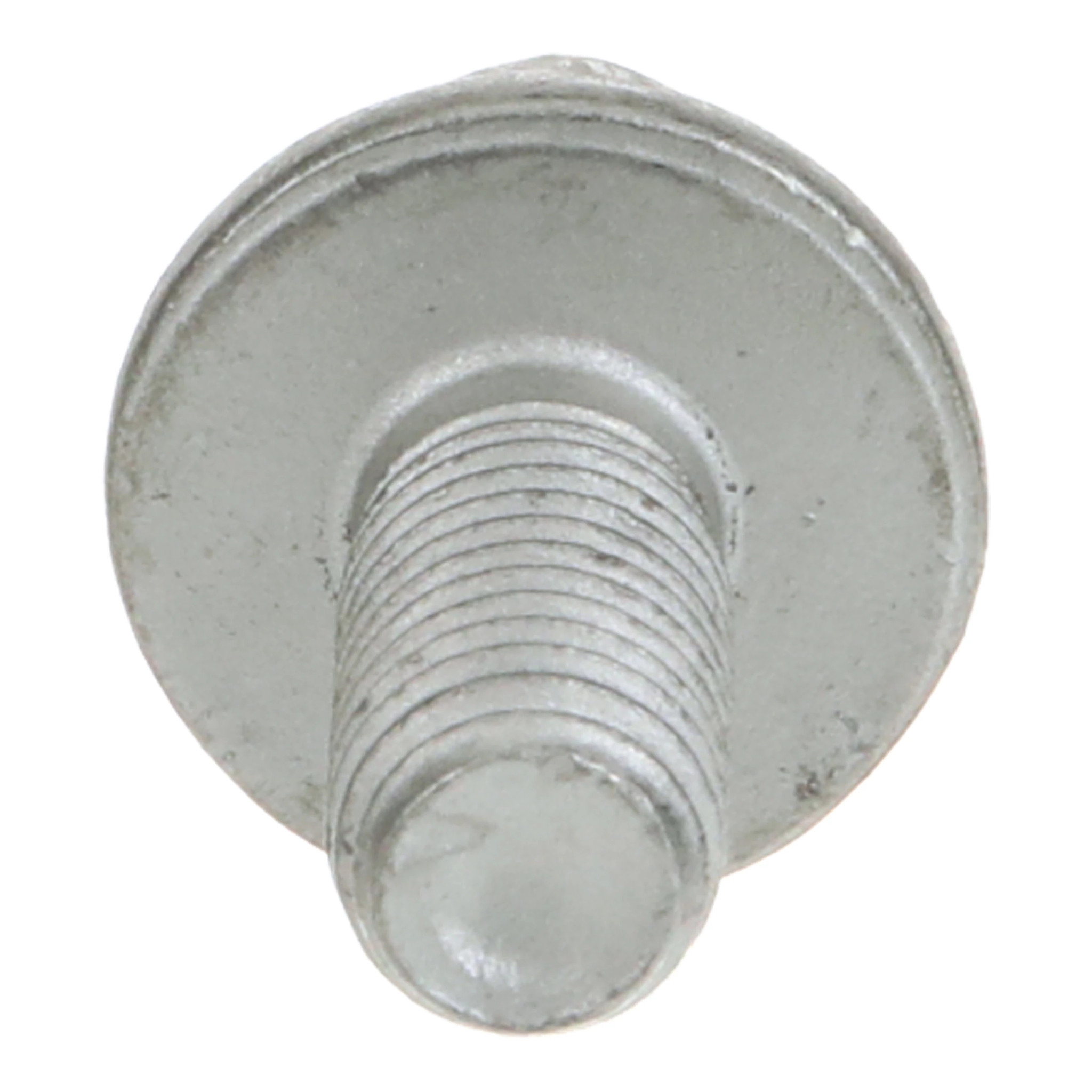 SCREW | MILLER | CA | EN