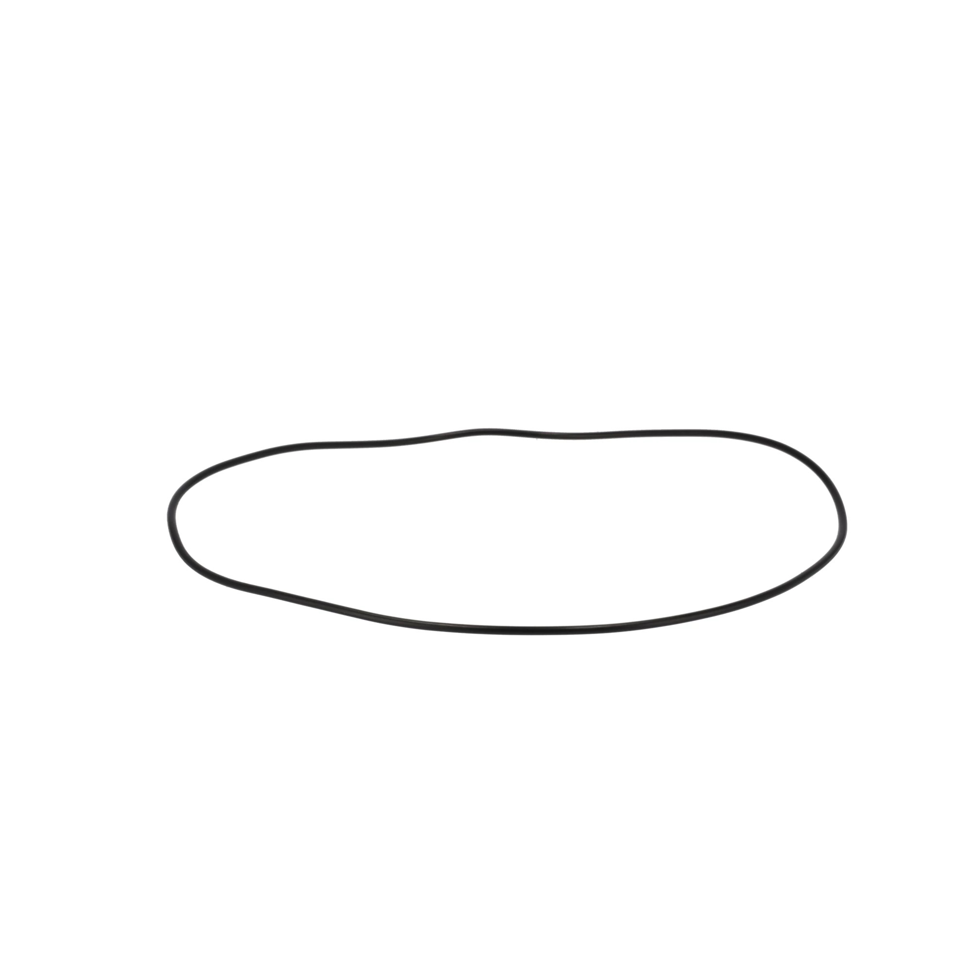 УПЛОТНИТЕЛЬНОЕ КОЛЬЦ | CASEIH | AMEA | RU