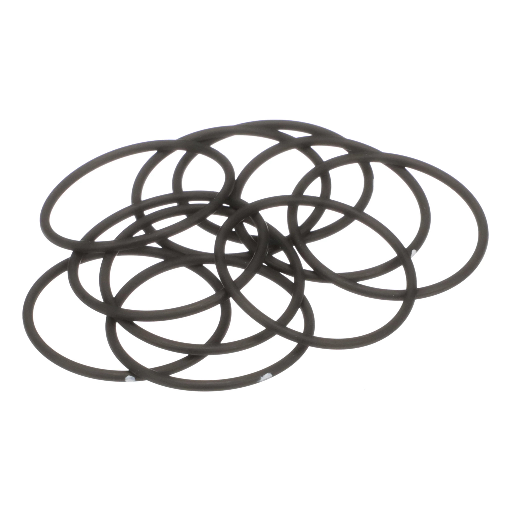 JUNTA TÓRICA | CASECE | EU | ES