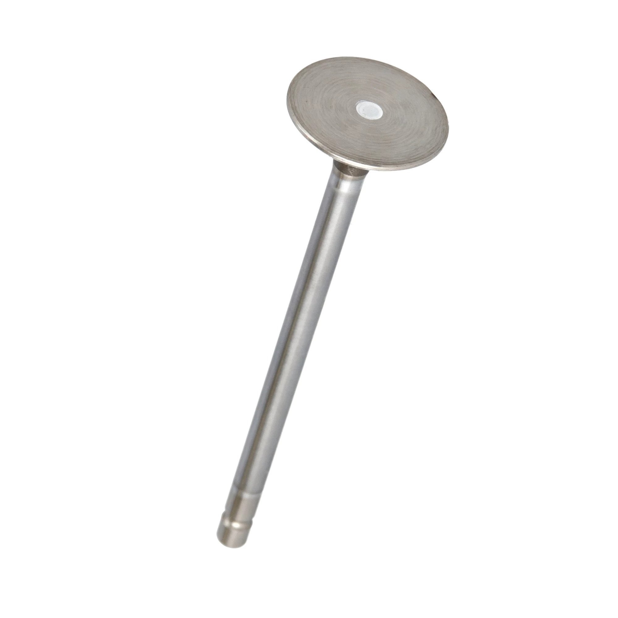 VÁLVULA DE ESCAPE | CASECE | EU | IT