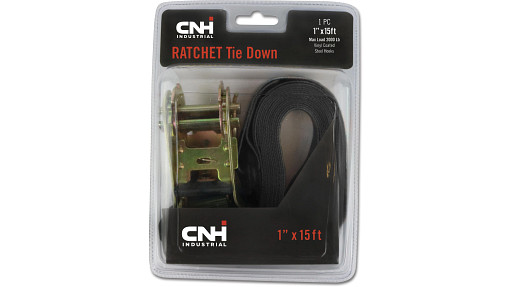 Standard-duty Ratchet Tie Down - 1