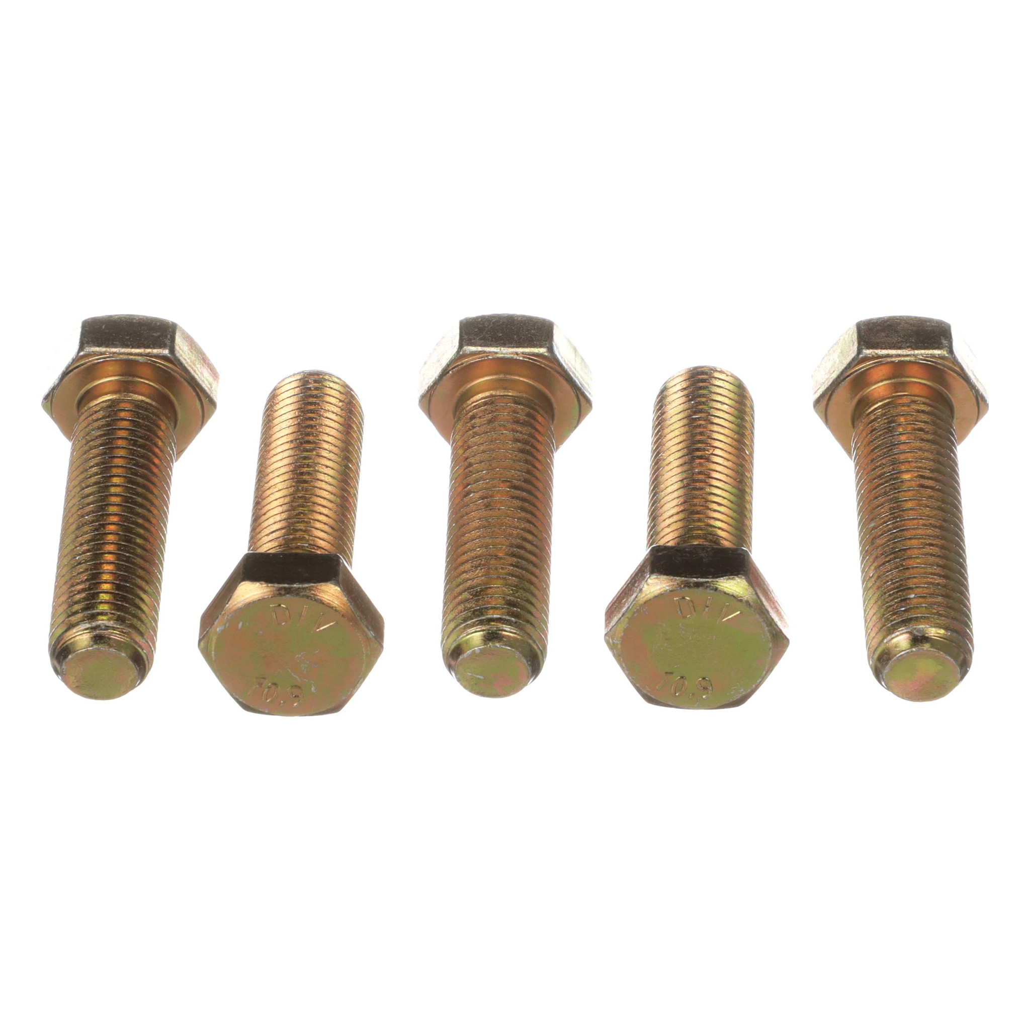 BOLT | CASECE | CA | EN