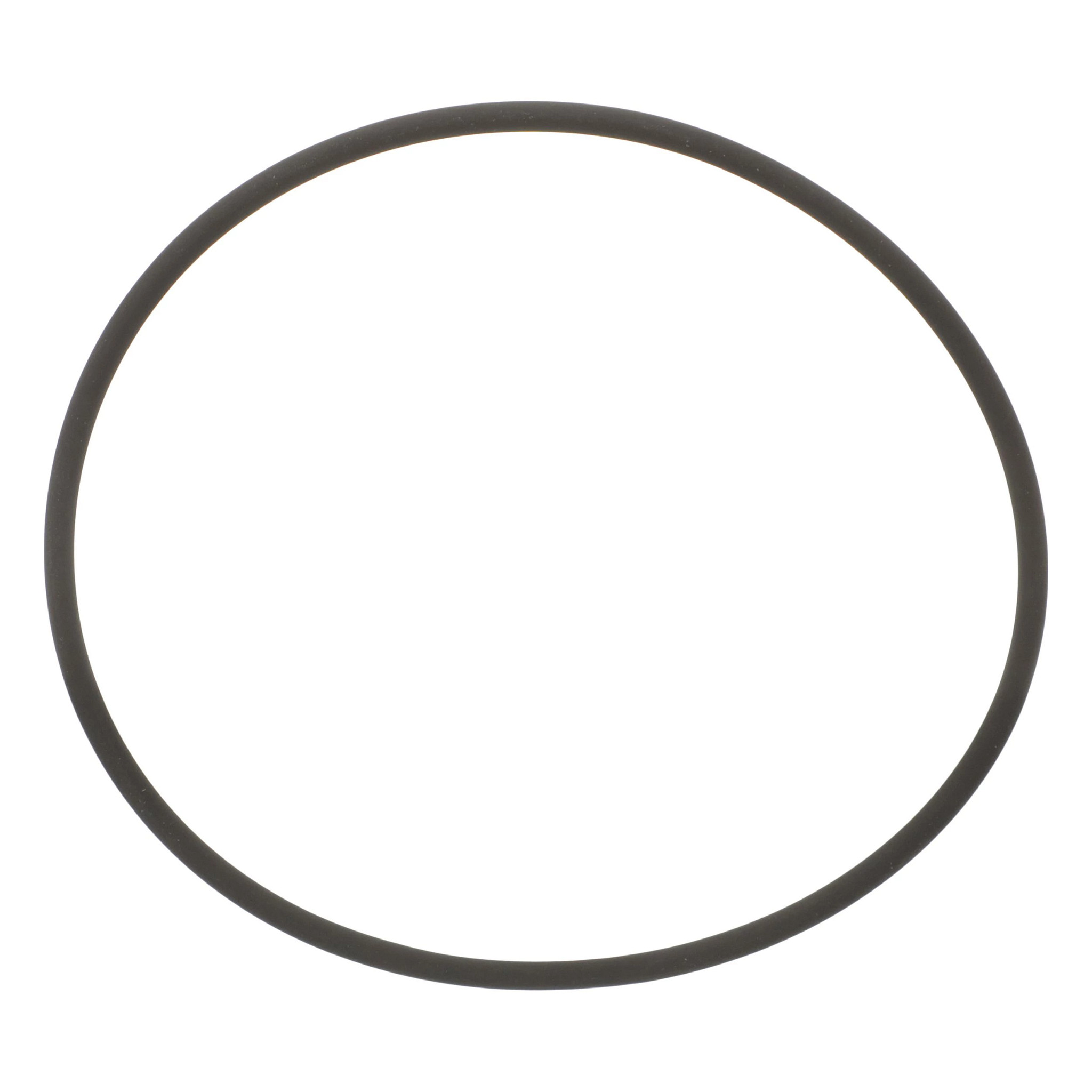 ANELLO TOROIDALE | CASEIH | IT | IT