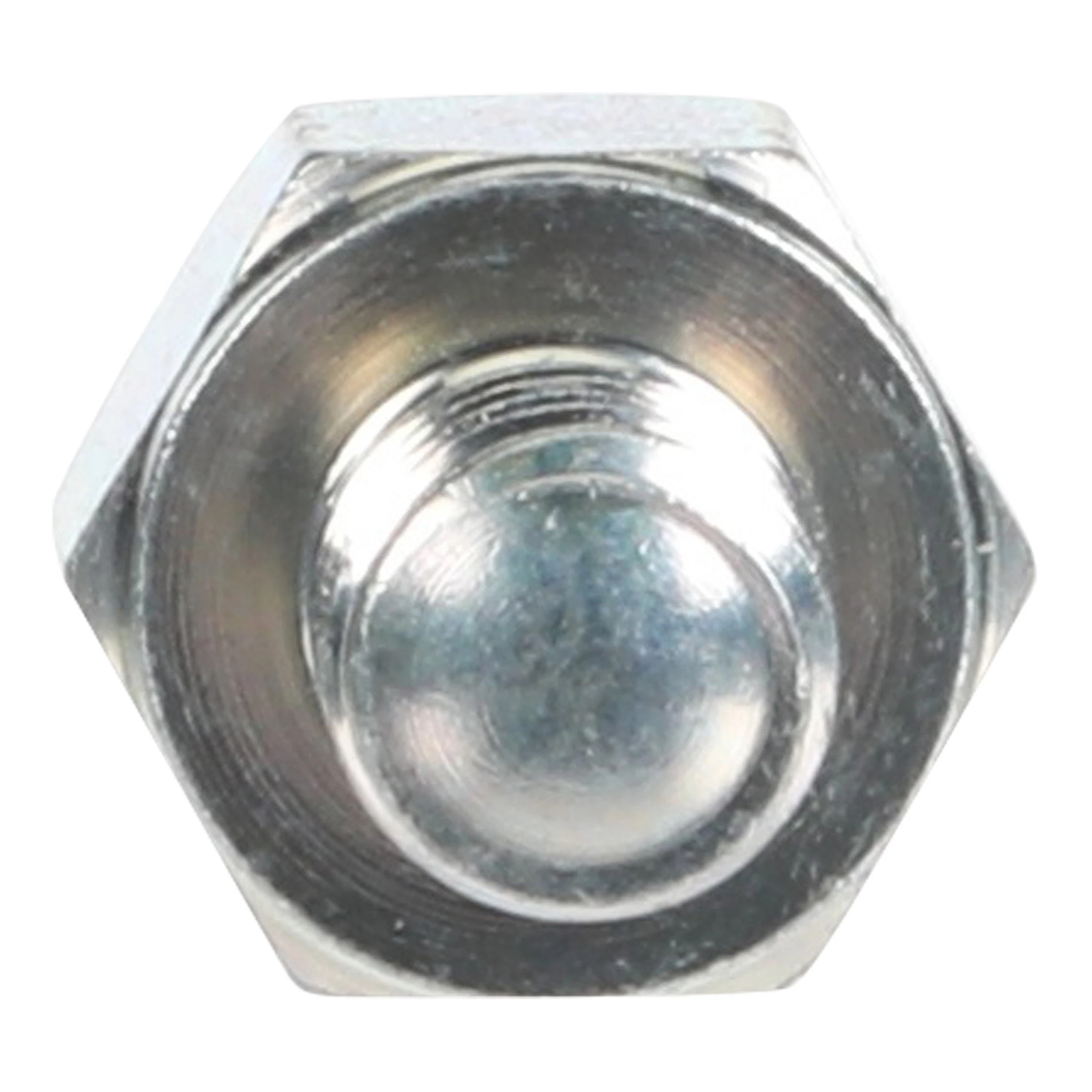 SCREW | CASECE | US | EN