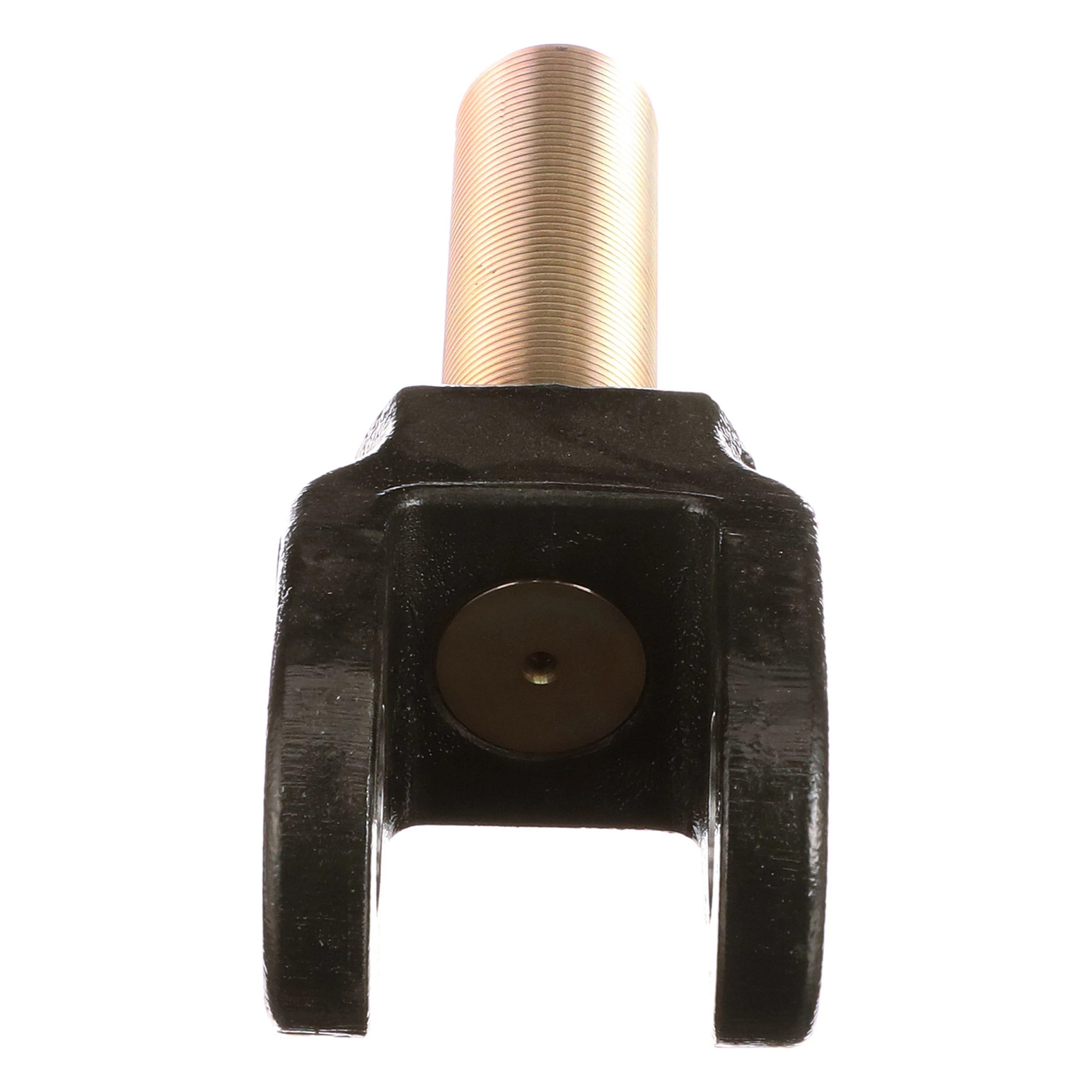 LINK | CASECE | CA | EN