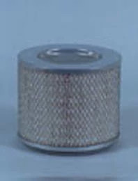 Filtre à air Fleetguard | CASEIH | CA | FR