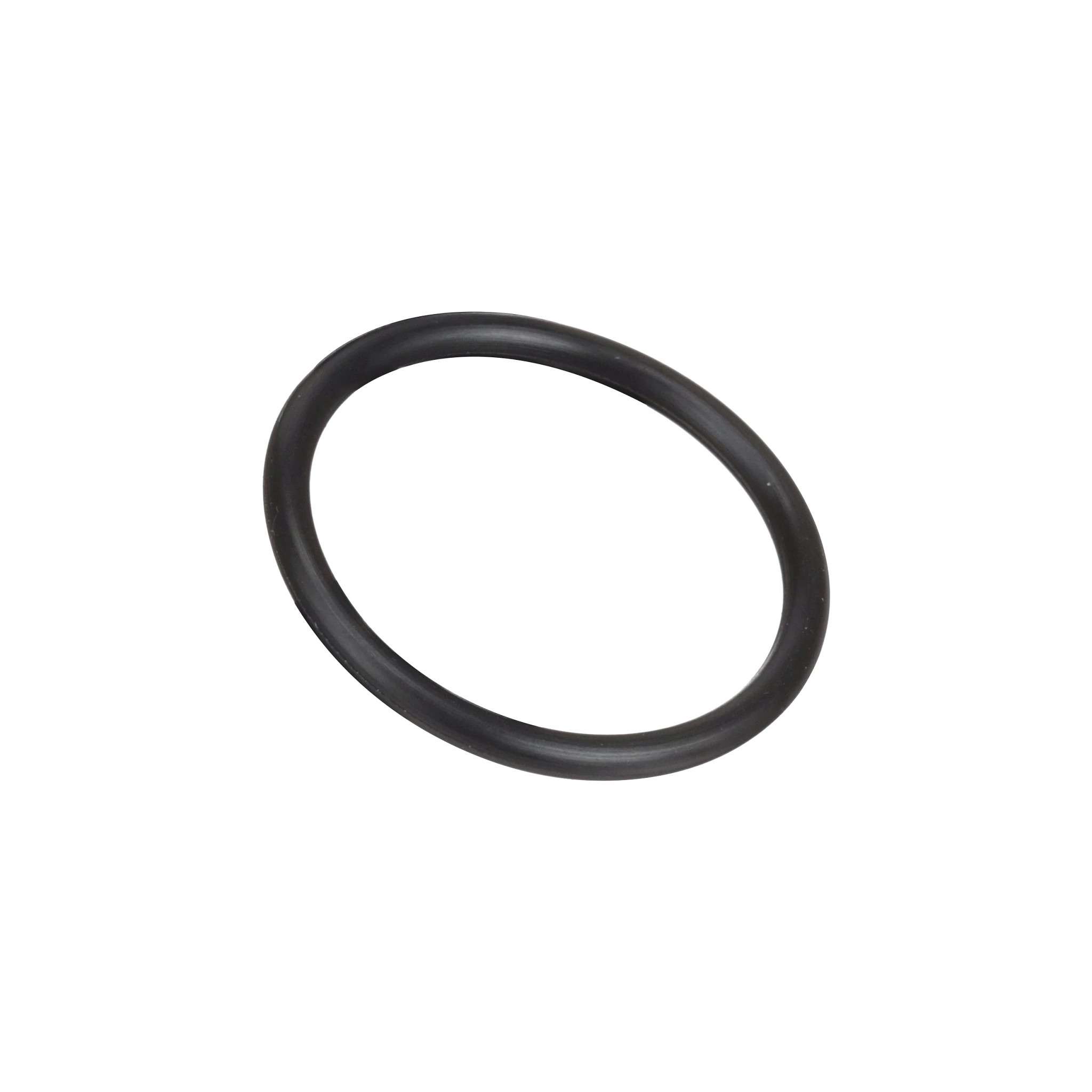 O-RING | CASECE | EU | EN