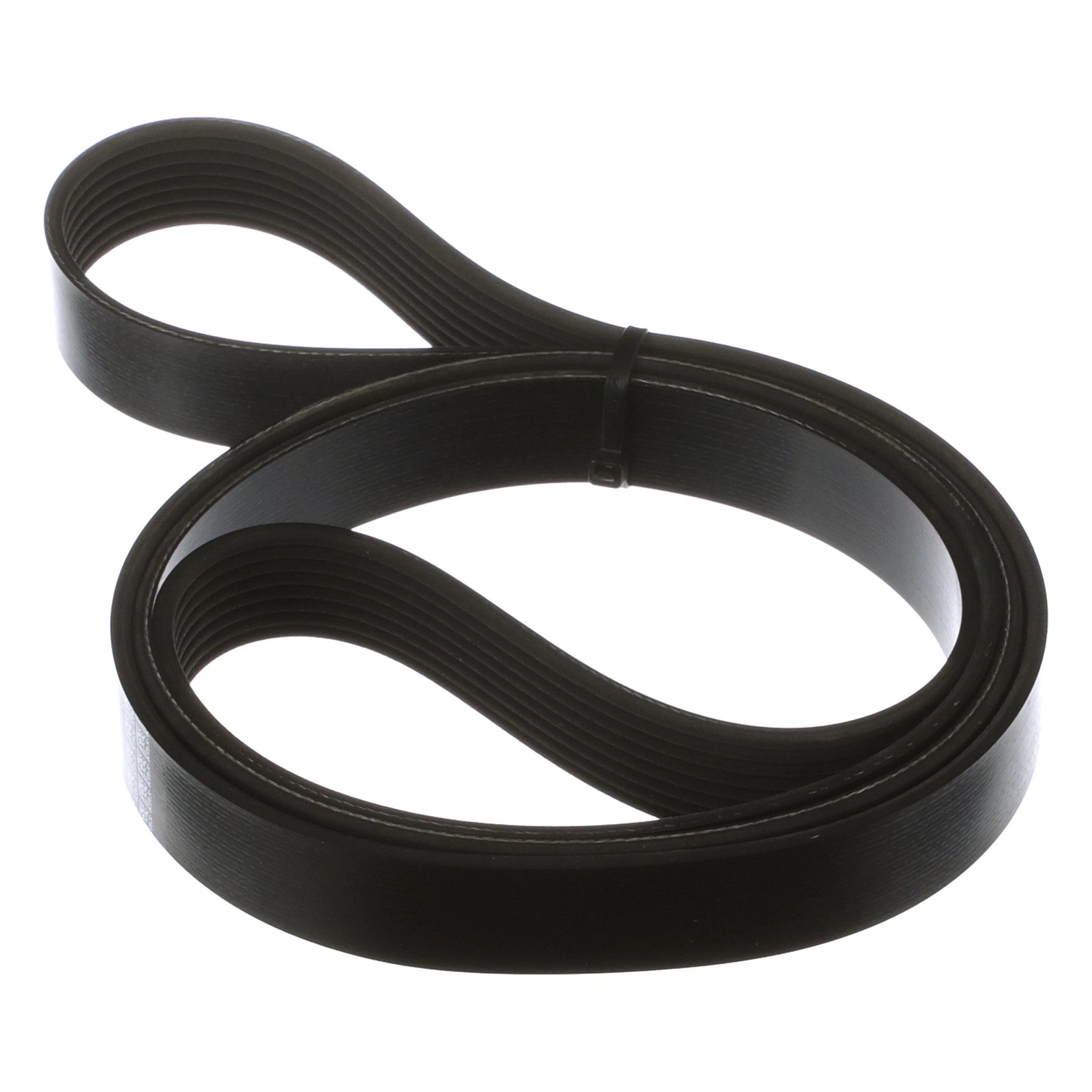 V-BELT | CASECE | CA | FR