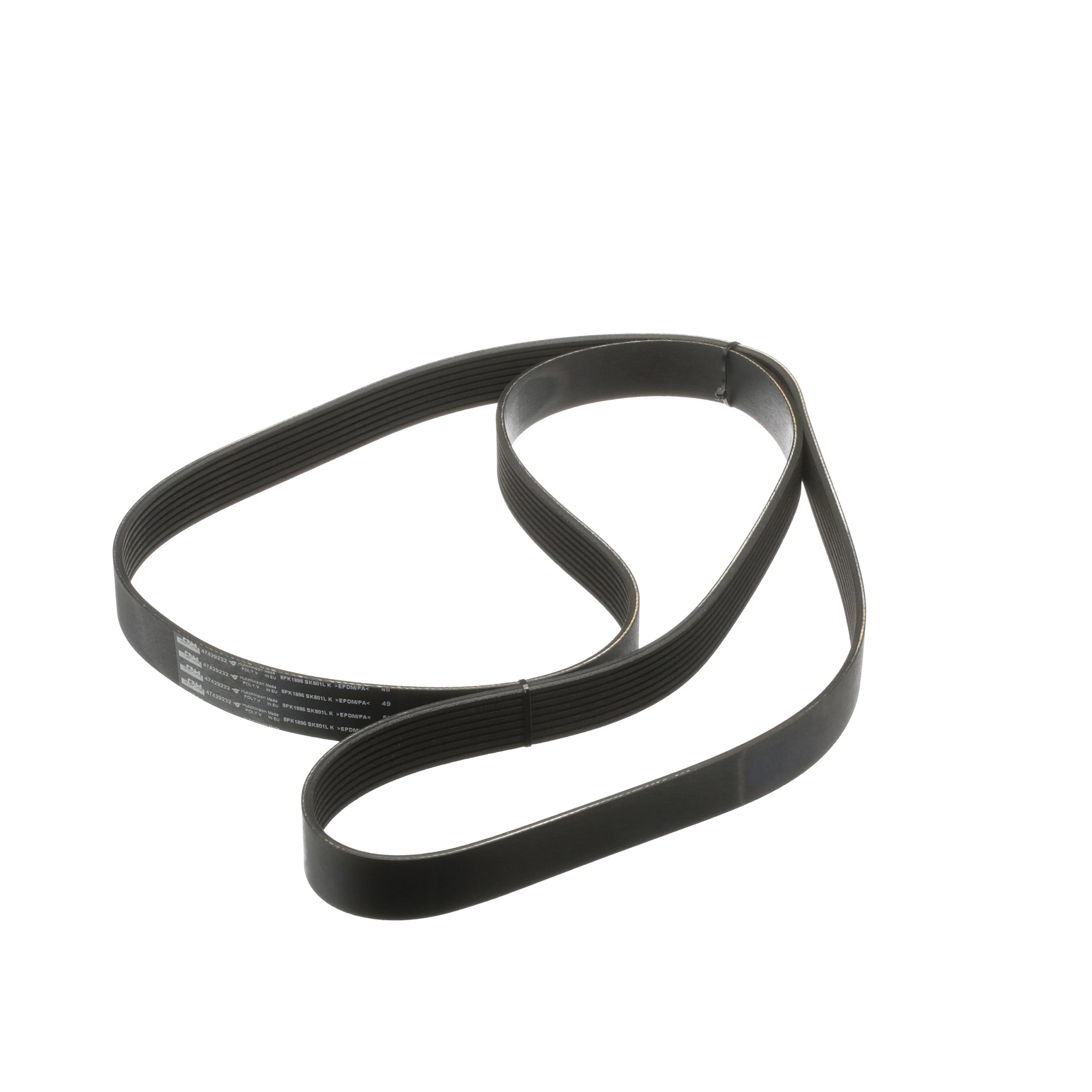 CORREIA | CASECE | BR | PT