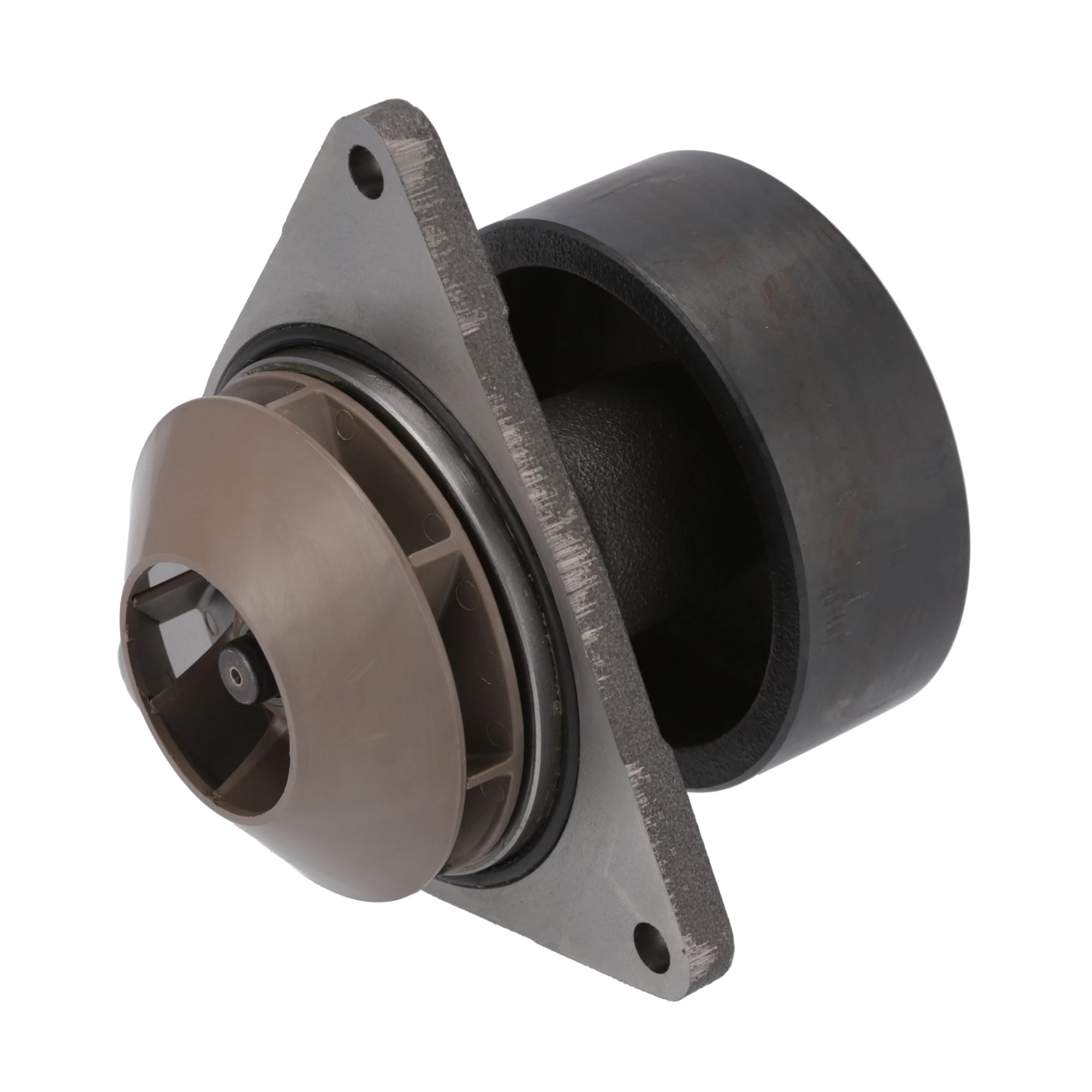 WATER PUMP | CASECE | AMEA | EN