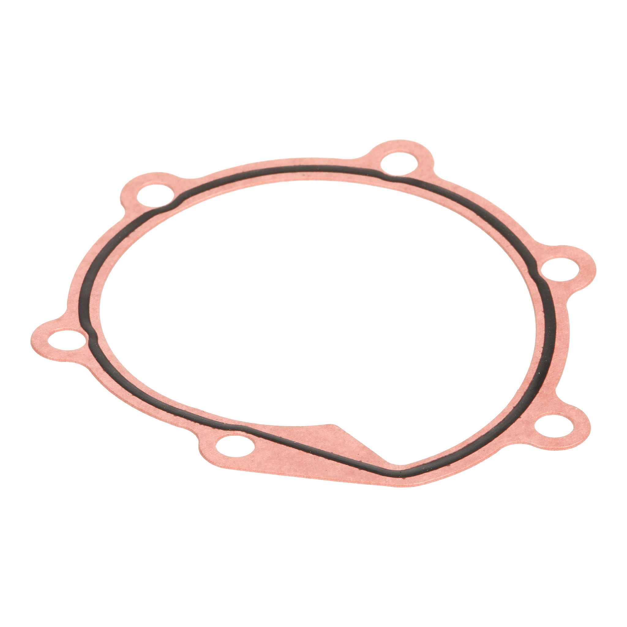 Gasket | CASECE | CA | FR