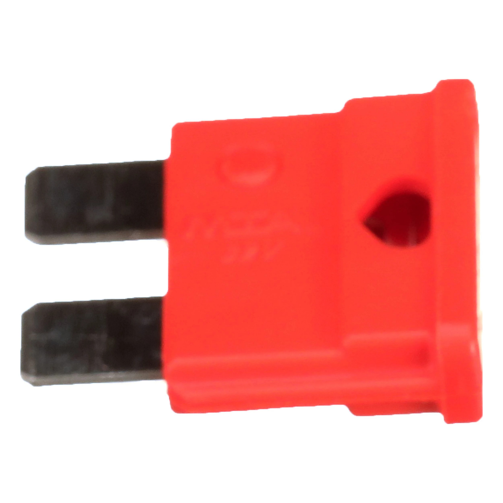 FUSE | CASECE | US | EN
