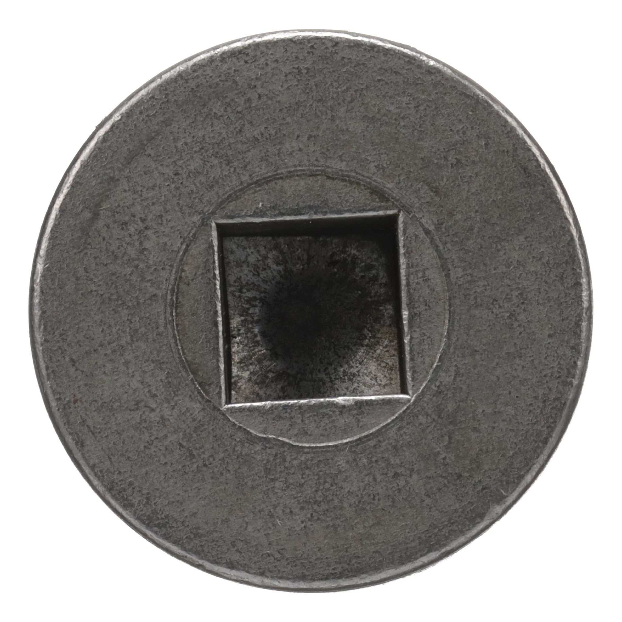 Oil Level Plug
