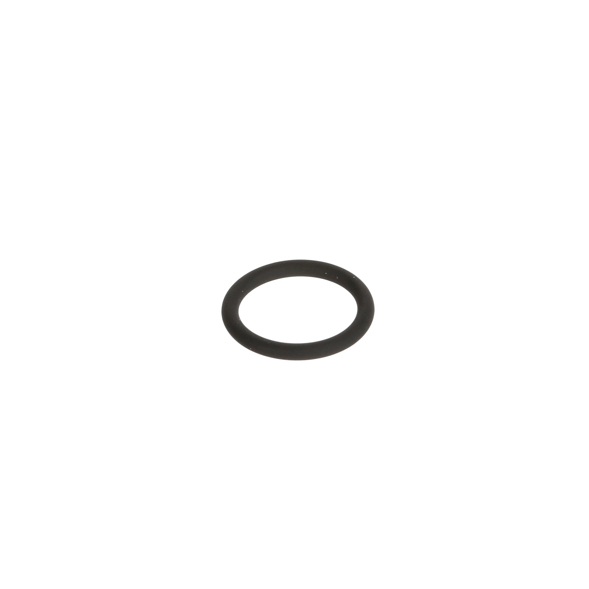 O-RING | CASECE | BR | PT