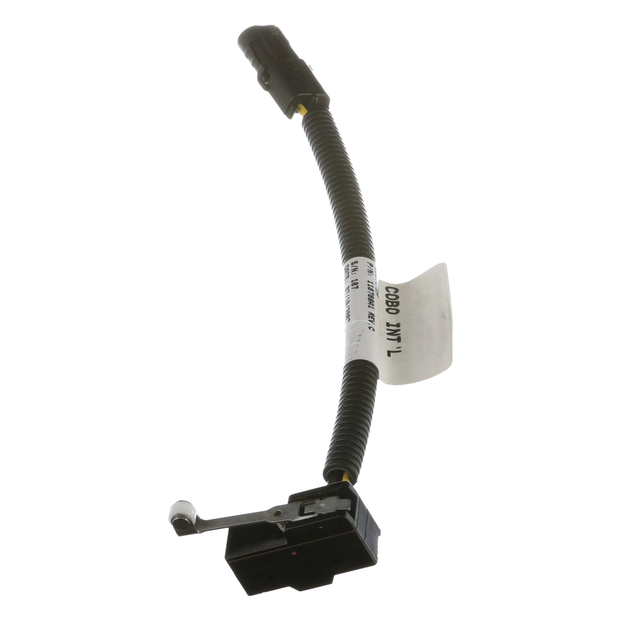 SWITCH | CASECE | US | EN