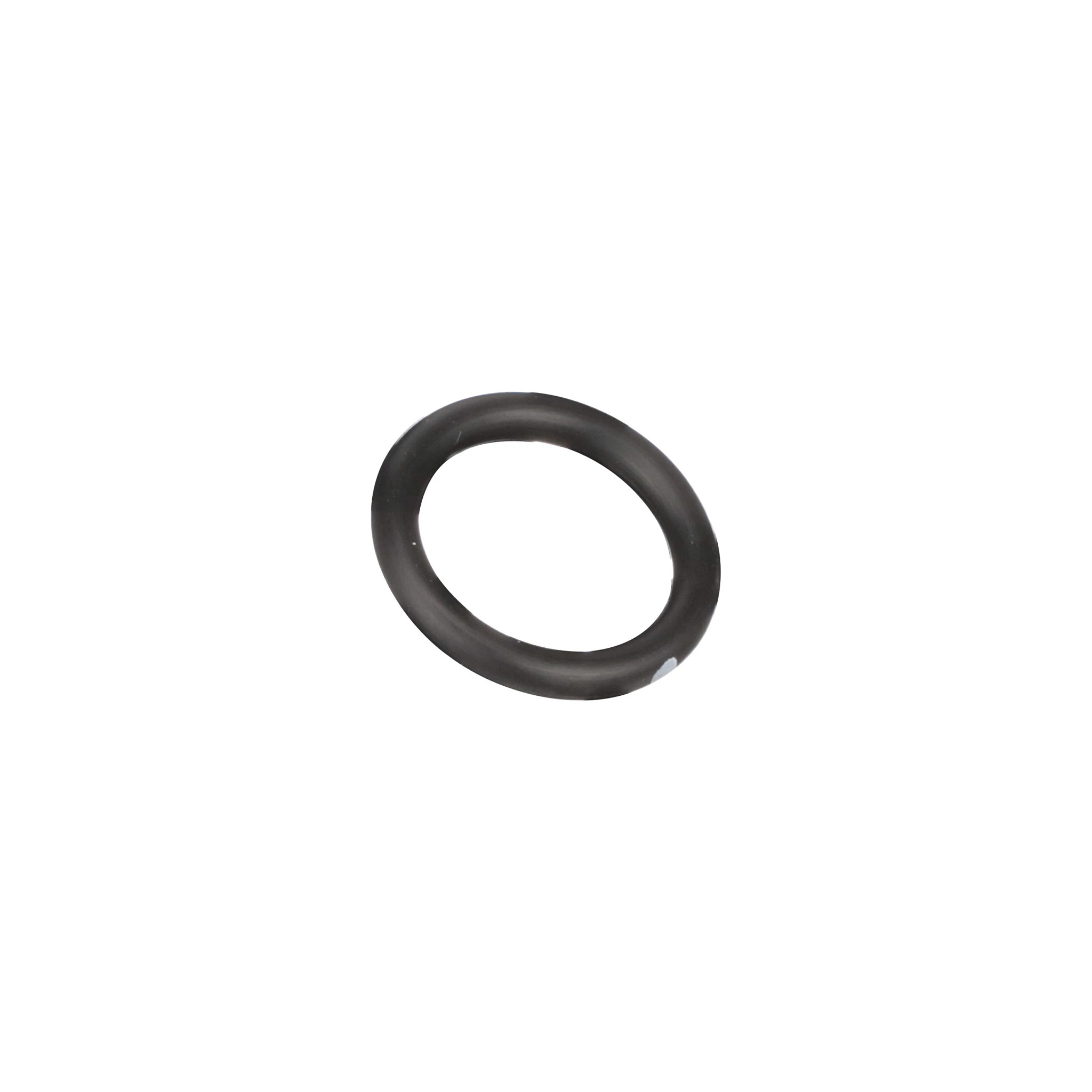 O-RING | CASECE | CA | EN