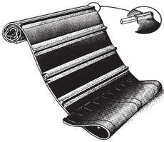 Belt | CASEIH | CA | EN