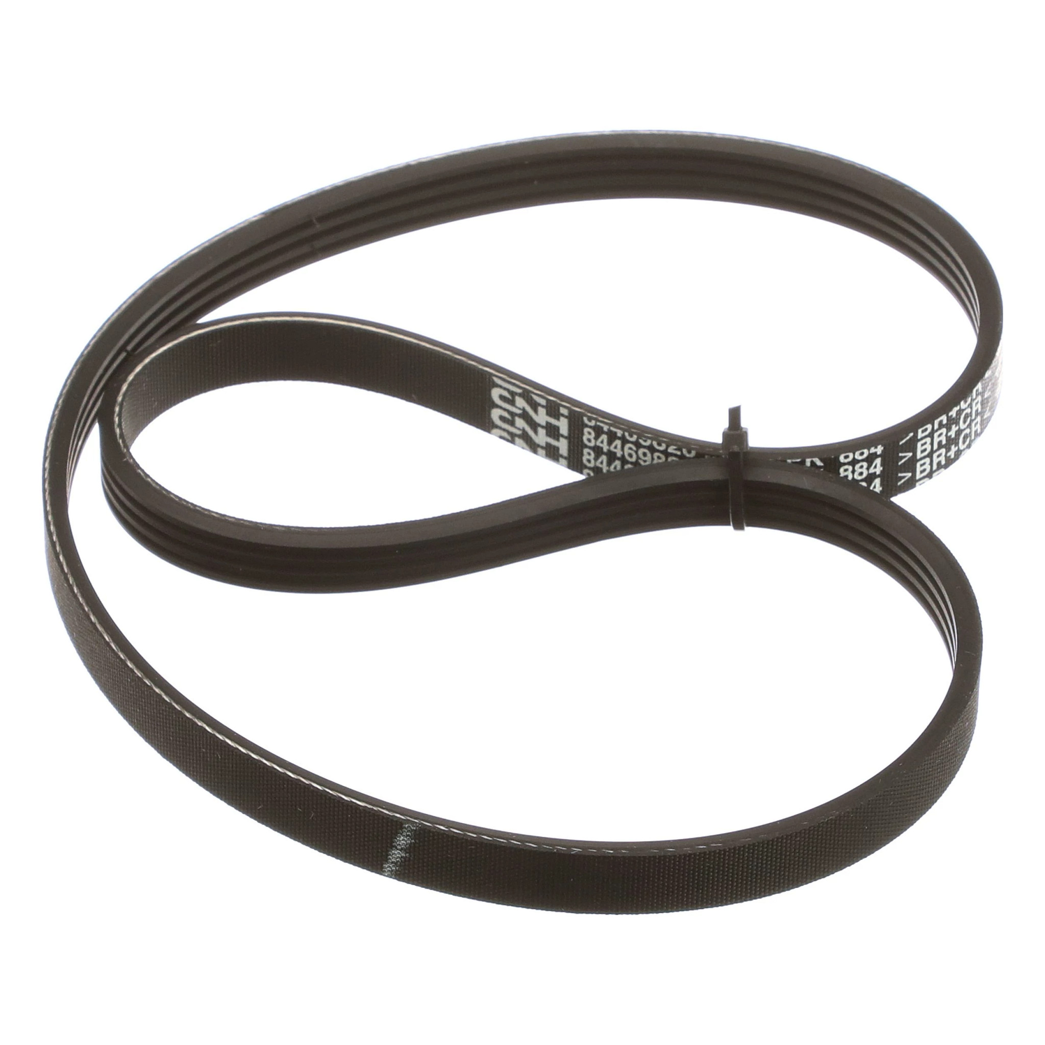 BELT | CASECE | SA | EN