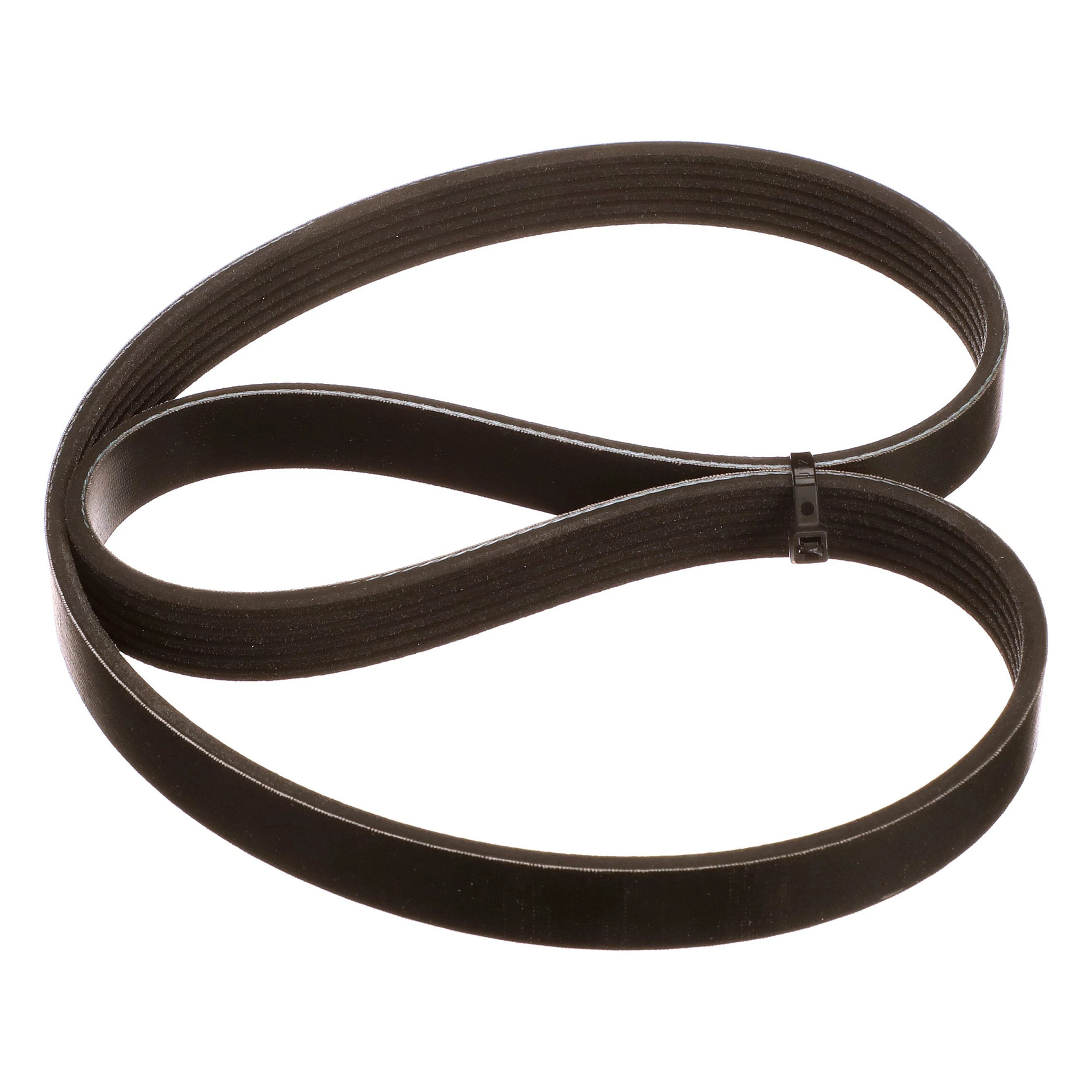 Correia serpentina Poly-V