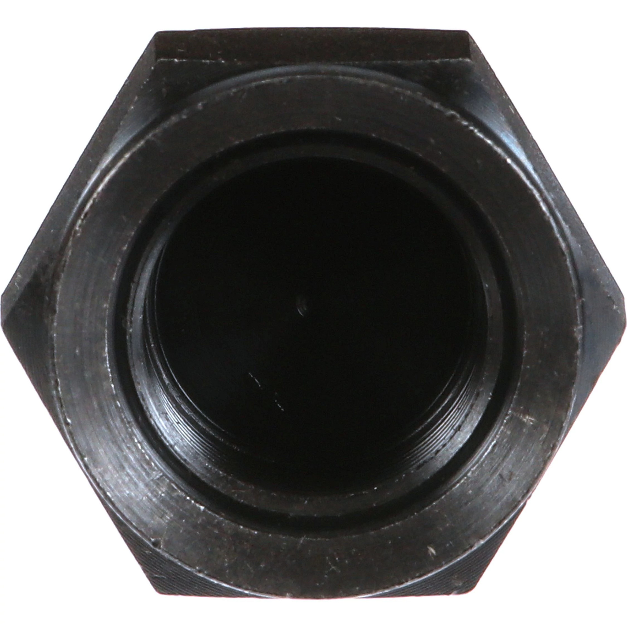 PLUG | CASECE | EU | EN