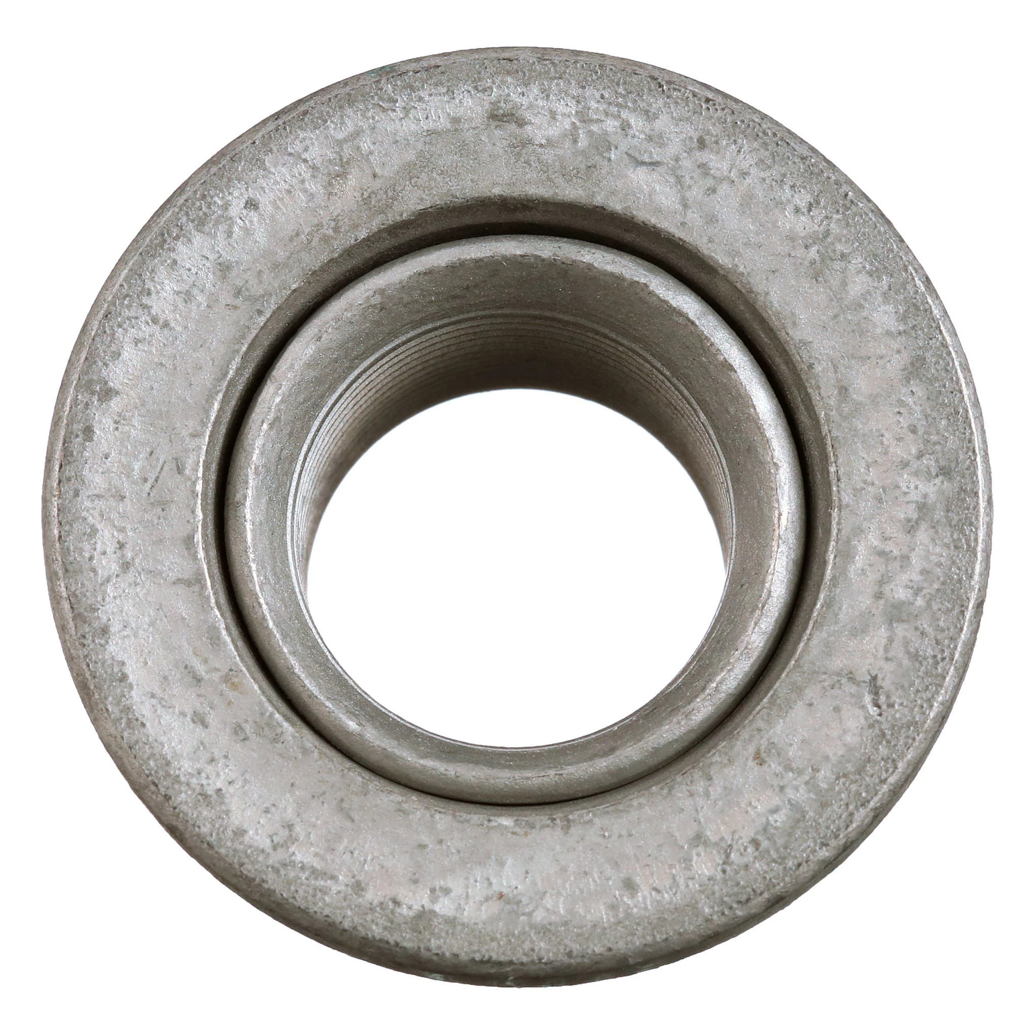 NUT | NEWHOLLANDAG | CA | EN