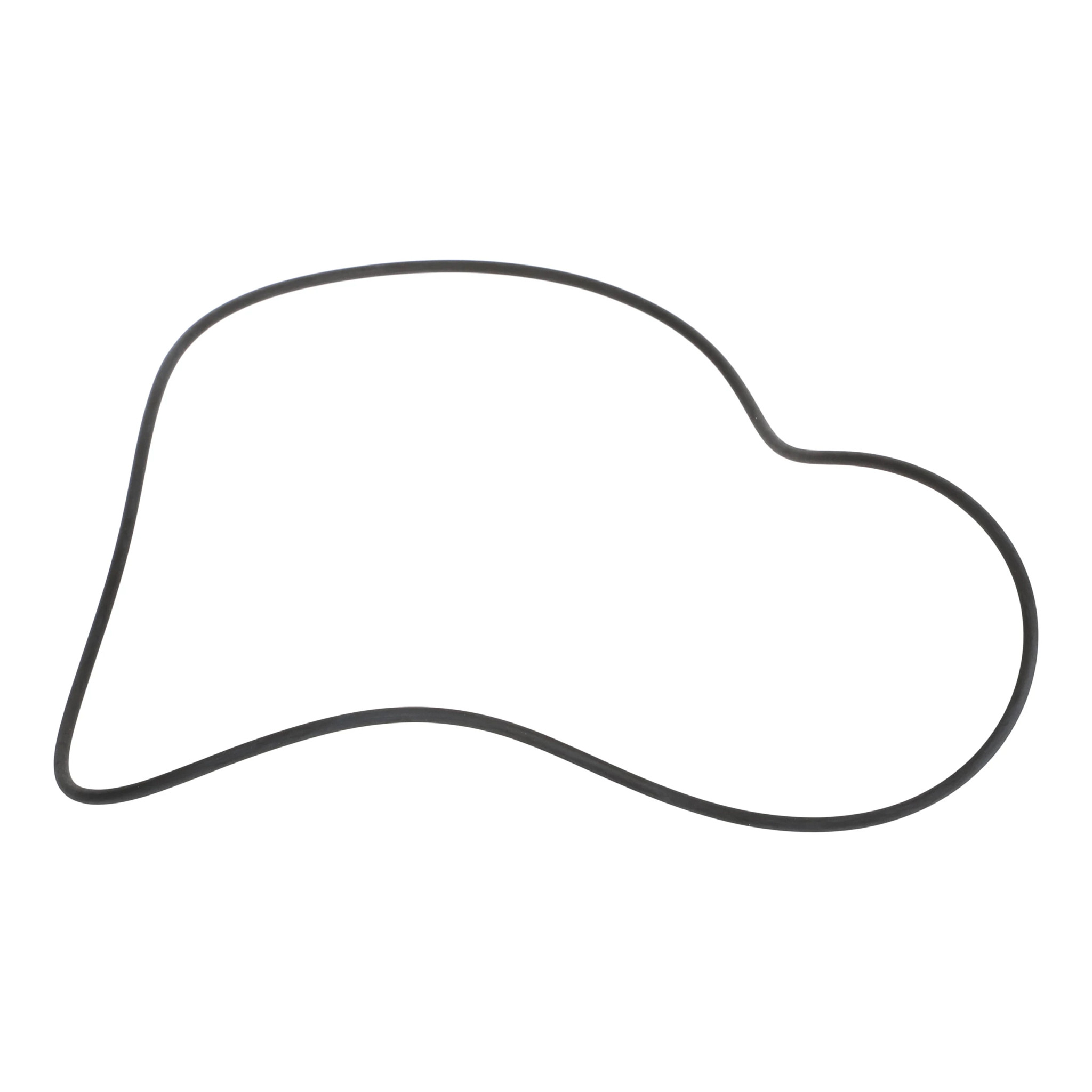 ANELLO TOROIDALE | CASEIH | EU | PL