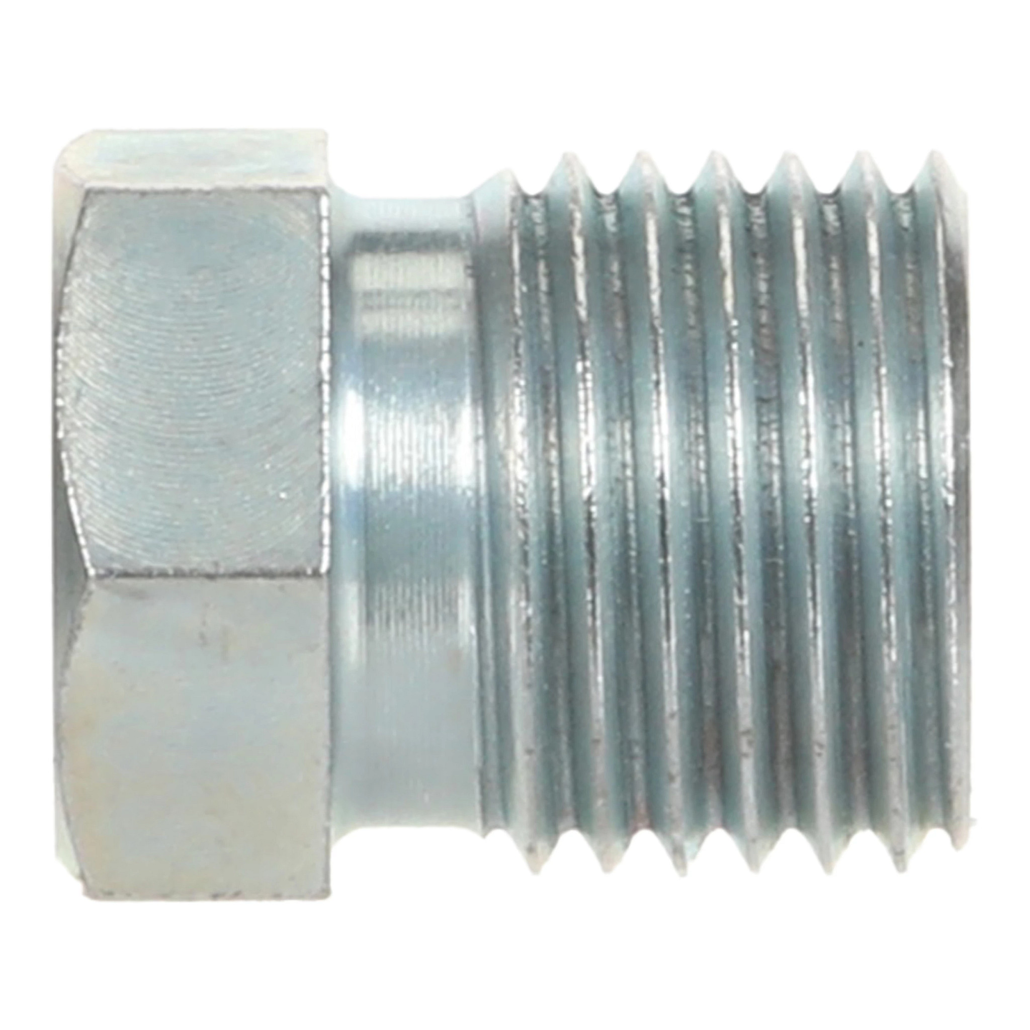 NUT | CASECE | CA | EN