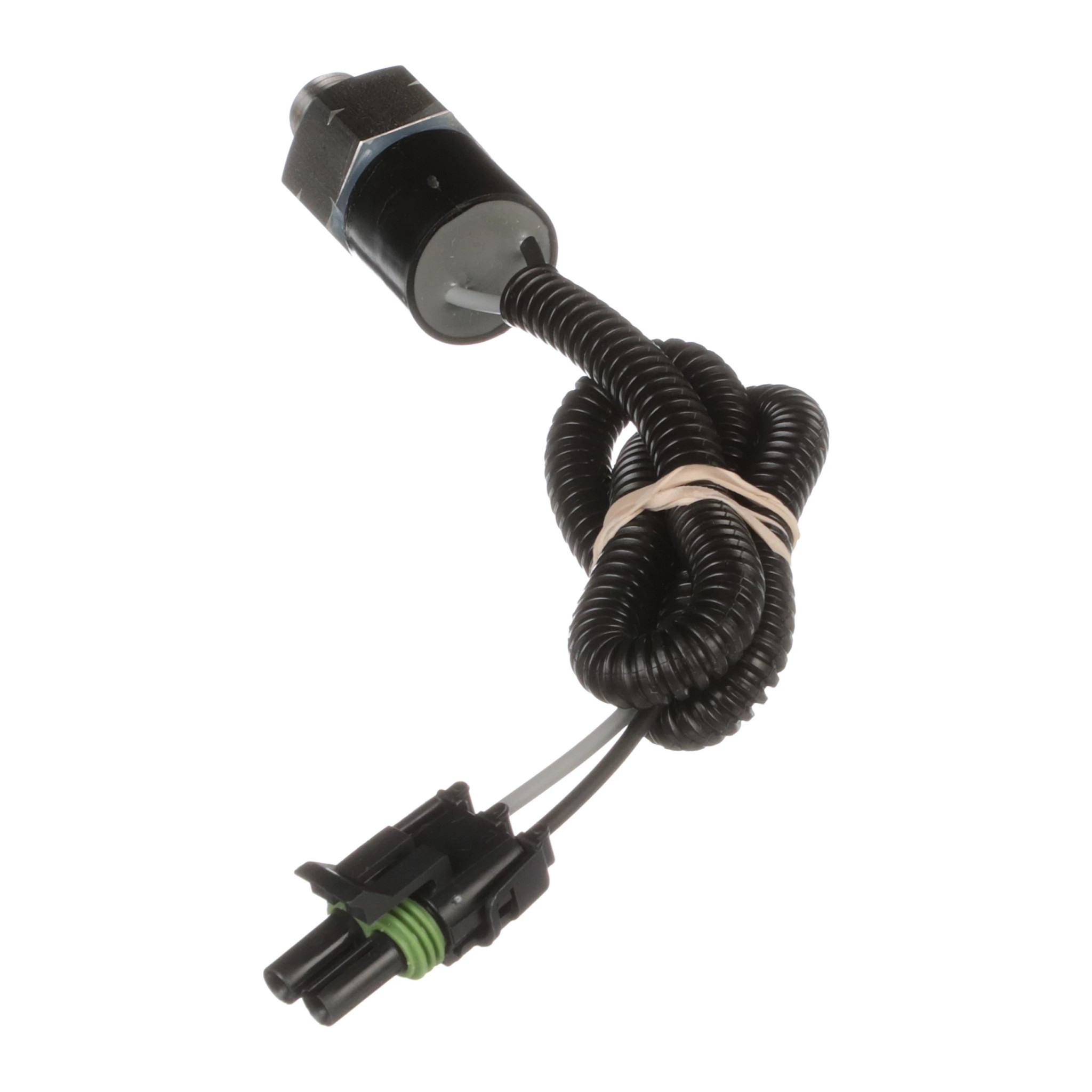 SWITCH | CASECE | US | EN