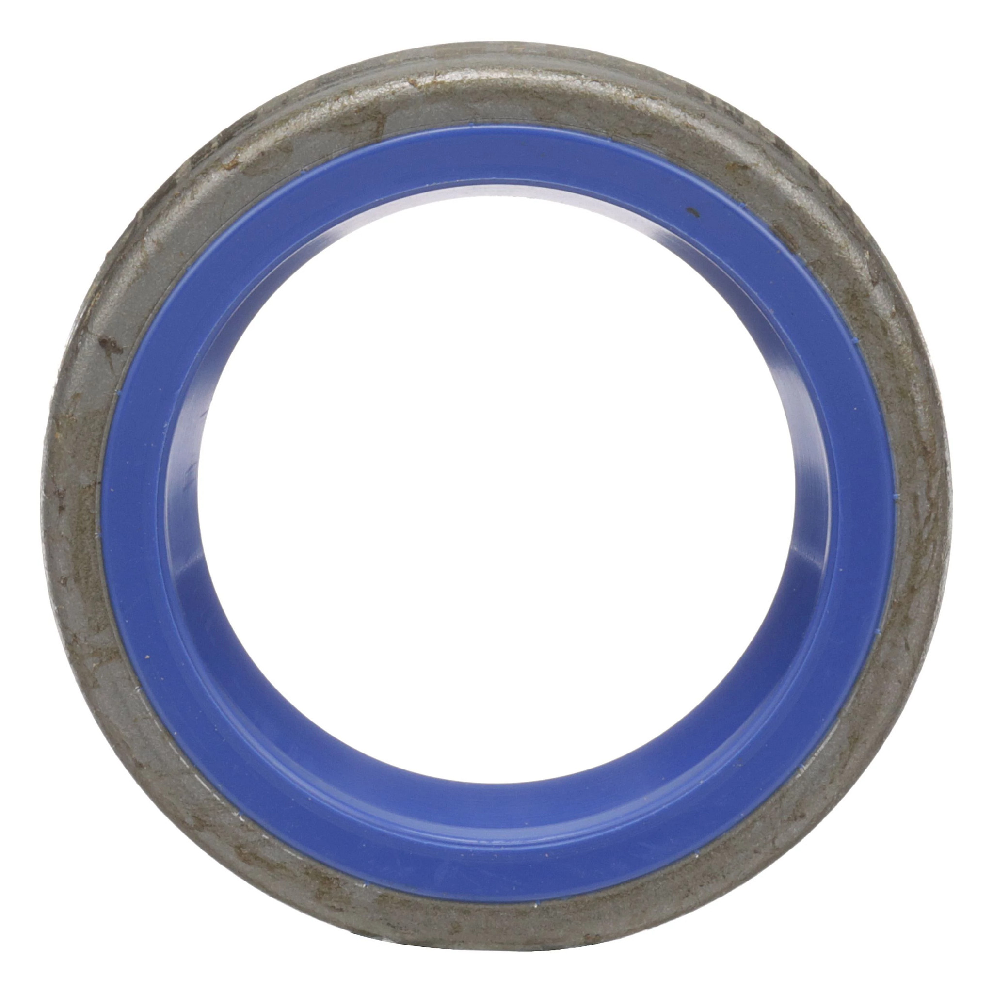 WIPER SEAL | CASEIH | US | EN