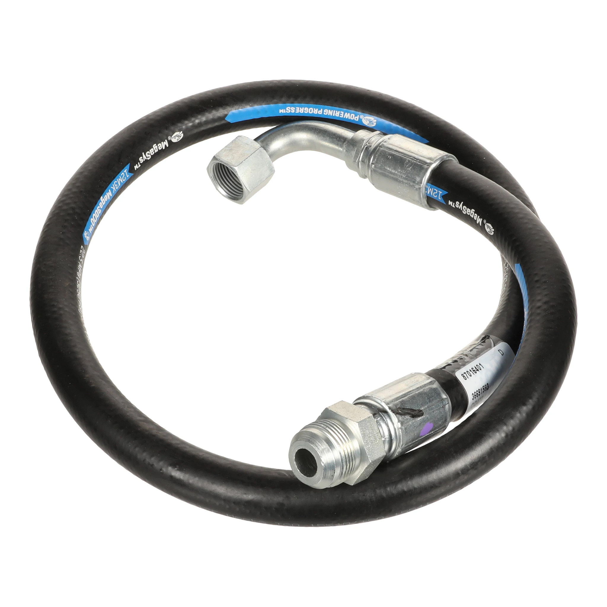 HOSE | CASECE | AMEA | EN