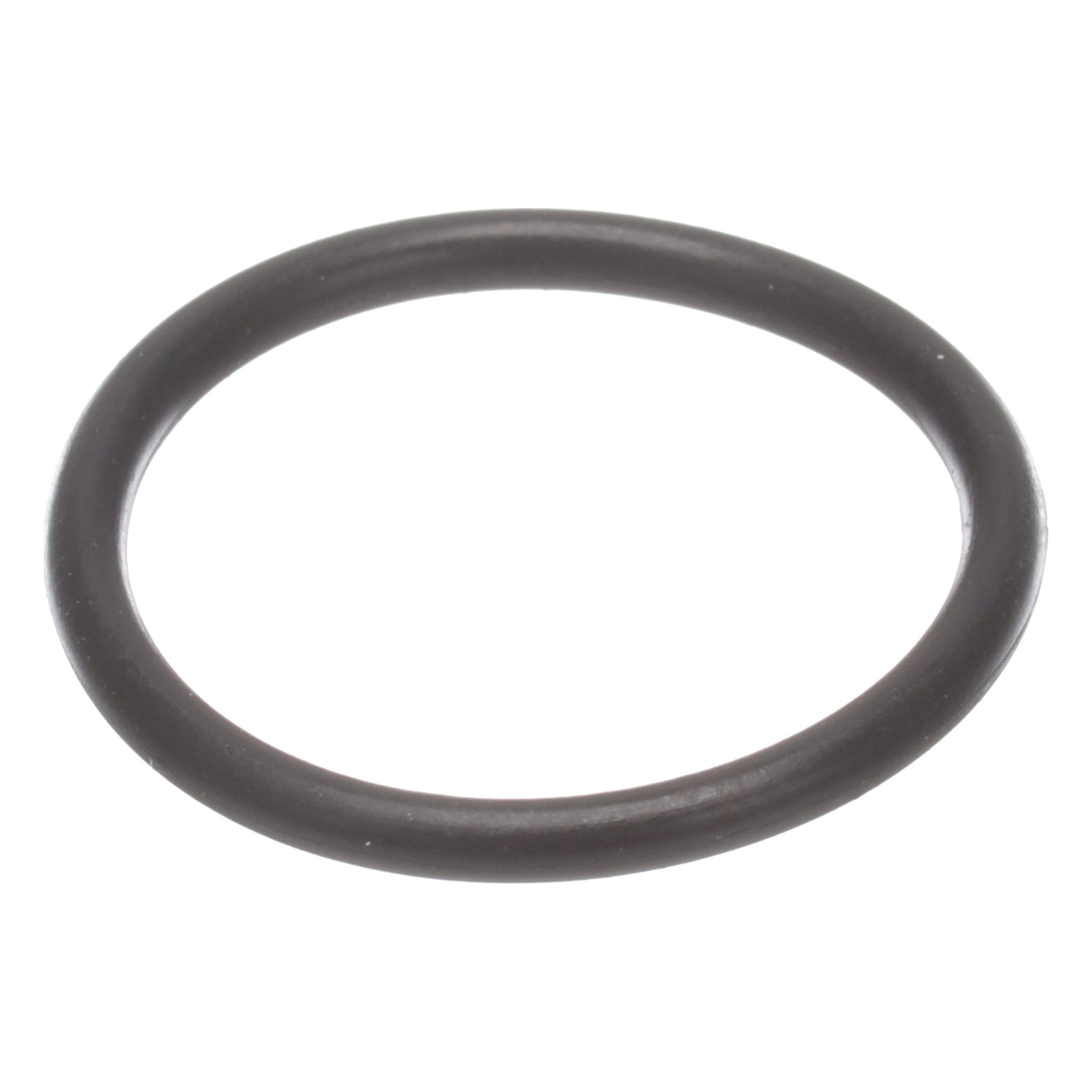 JUNTA TÓRICA | CASECE | EU | IT