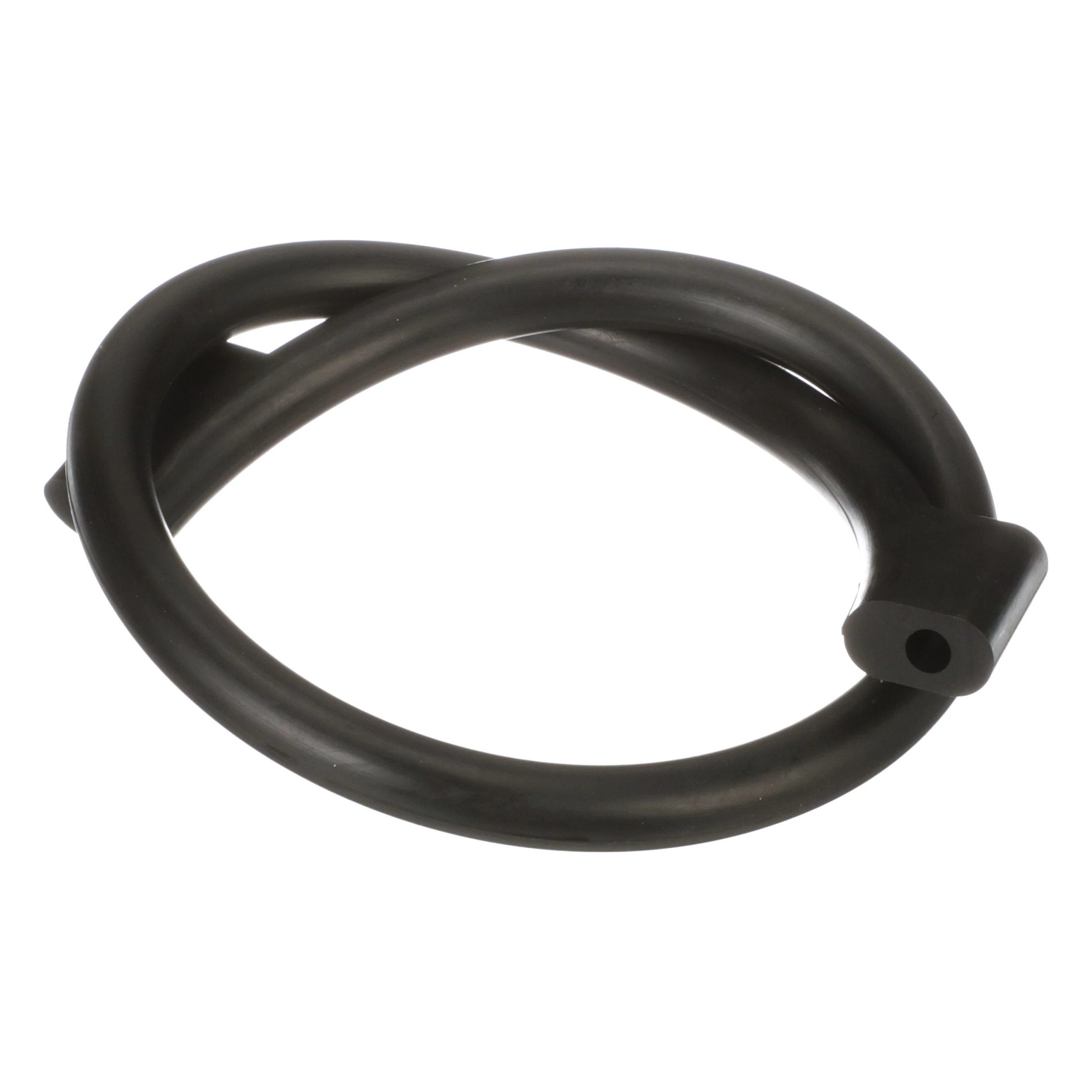 JUNTA TÓRICA | CASECE | EU | ES