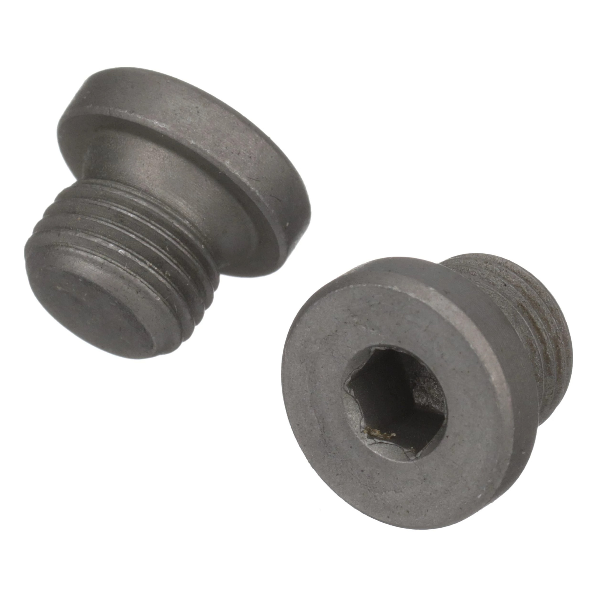 Screw Plug | CASECE | CA | EN